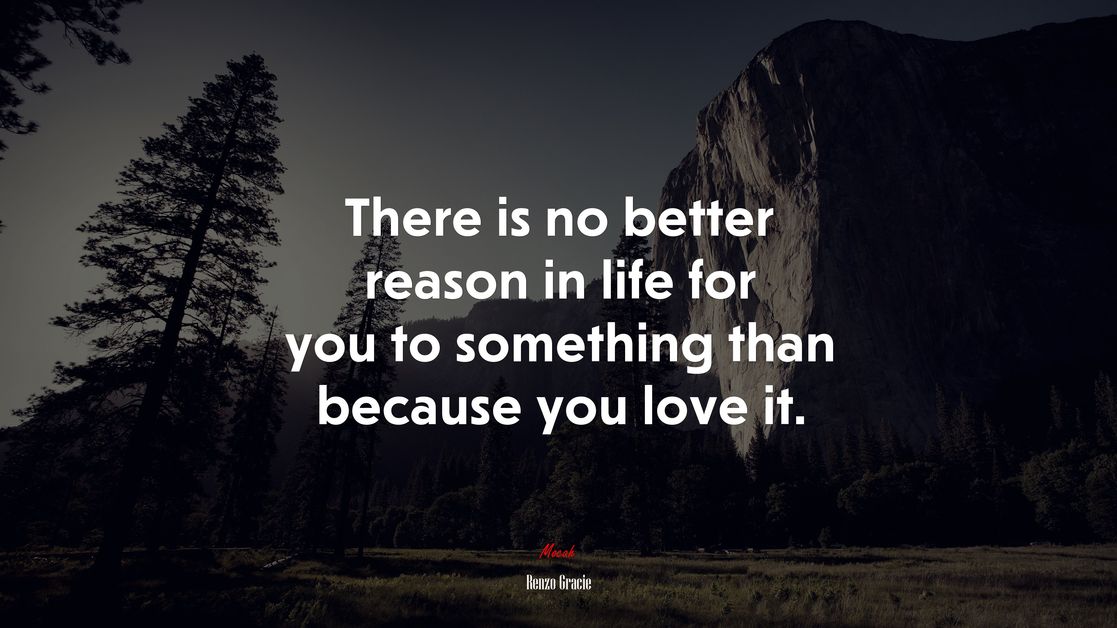 There is no better reason in life for you to something than because you love it. | Renzo Gracie quote HD Wallpaper