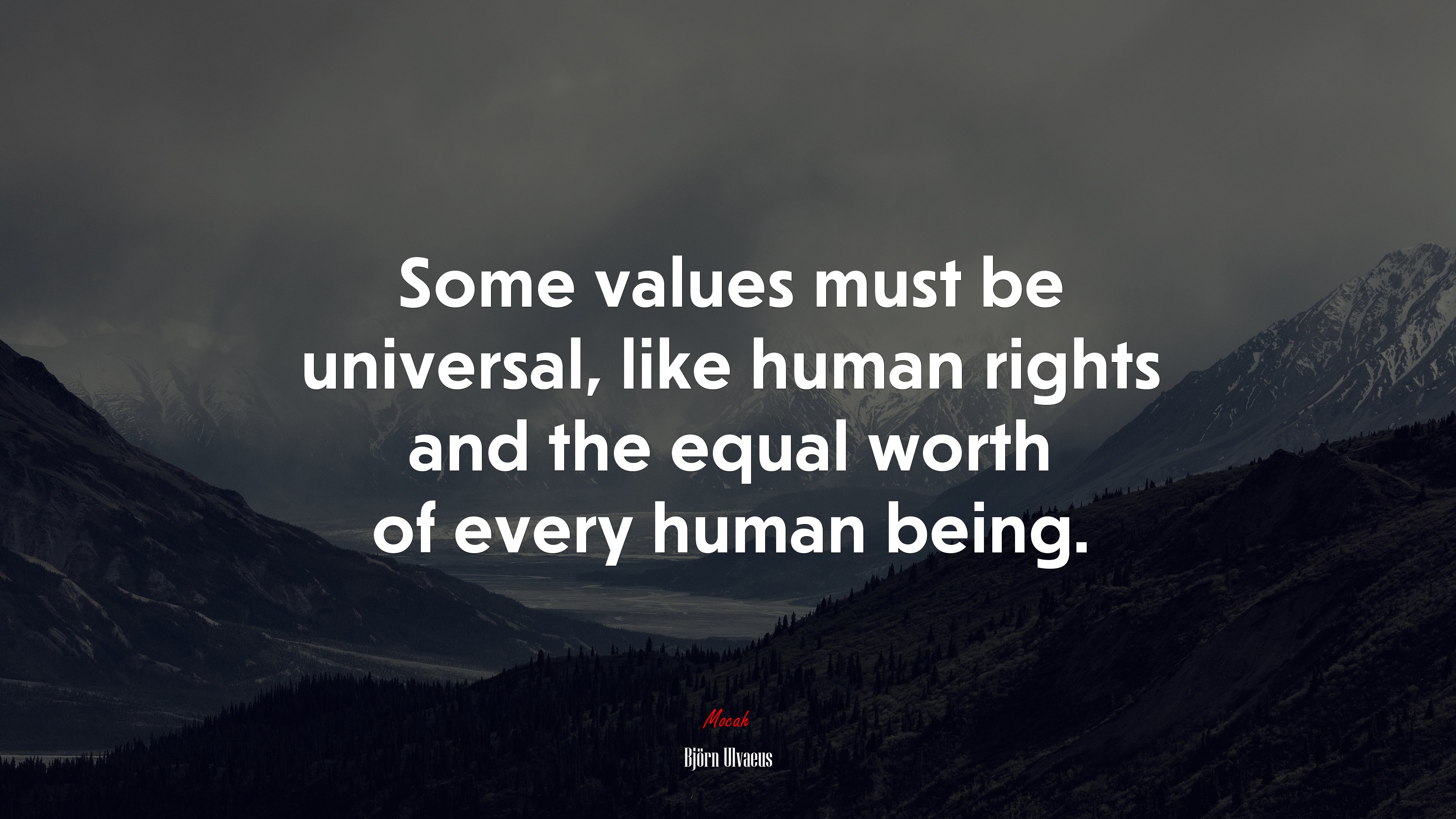 Some values must be universal, like human rights and the equal worth of every human being. | Björn Ulvaeus quote HD Wallpaper