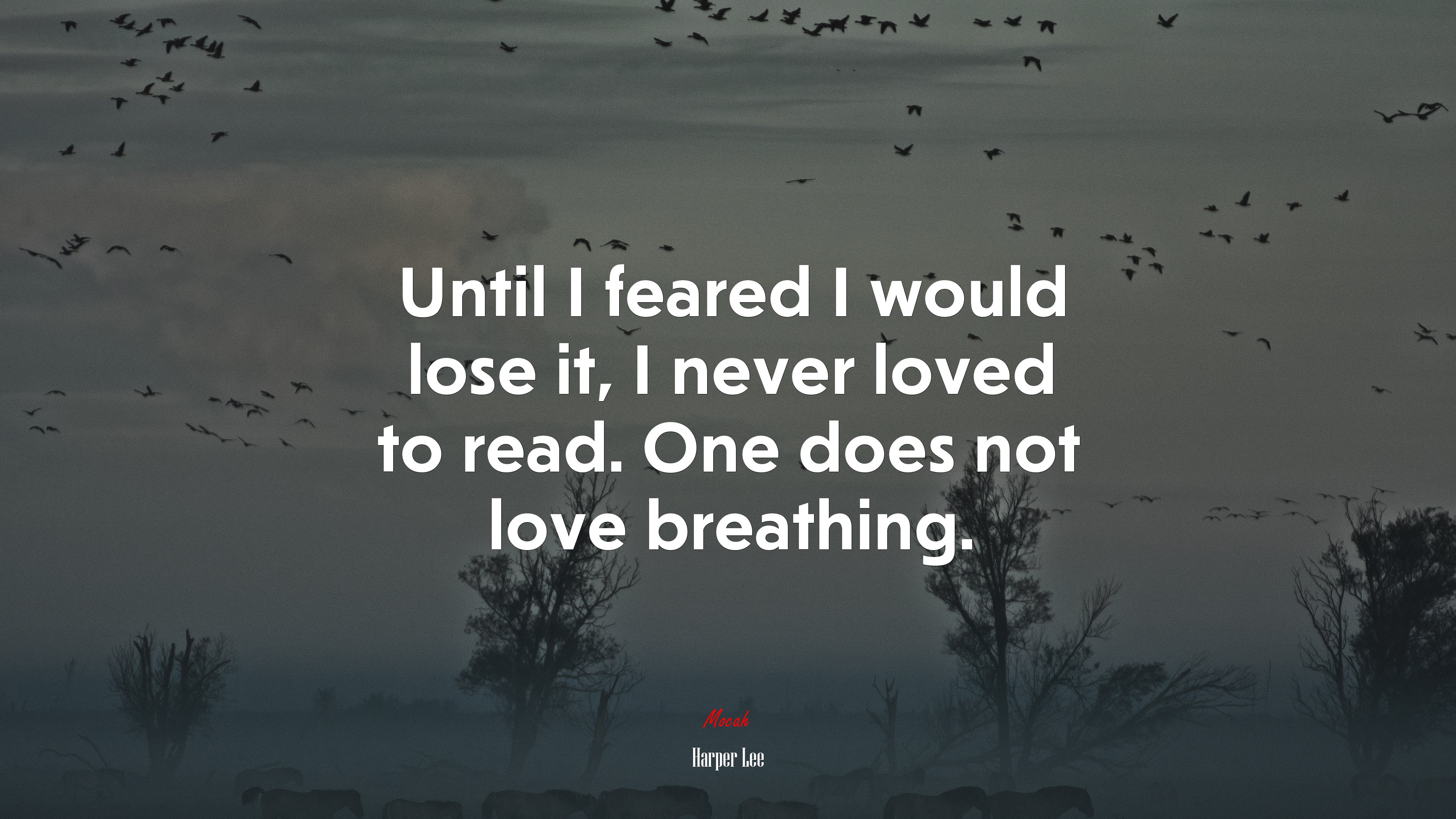 Until I feared I would lose it, I never loved to read. One does not love breathing. | Harper Lee quote HD Wallpaper