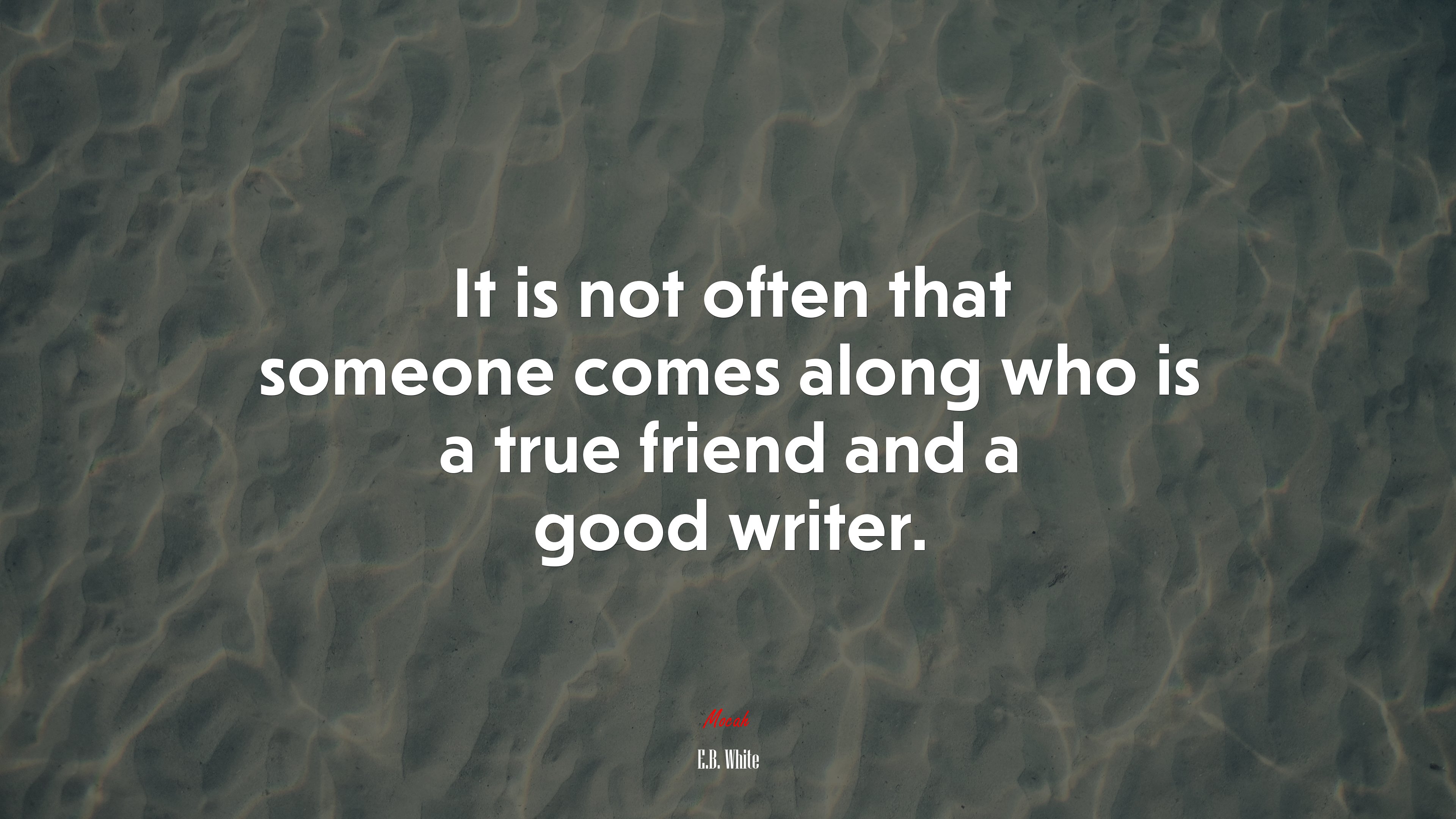 It is not often that someone comes along who is a true friend and a good writer. | E.B. White quote HD Wallpaper