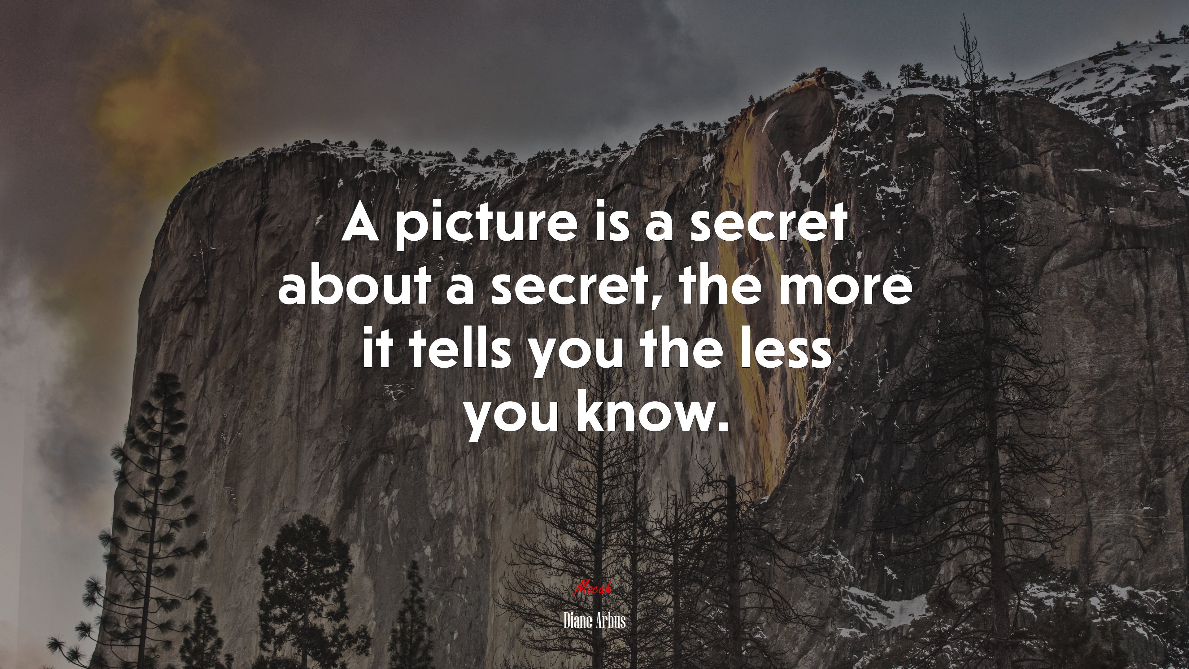 A picture is a secret about a secret, the more it tells you the less you know. | Diane Arbus quote HD Wallpaper
