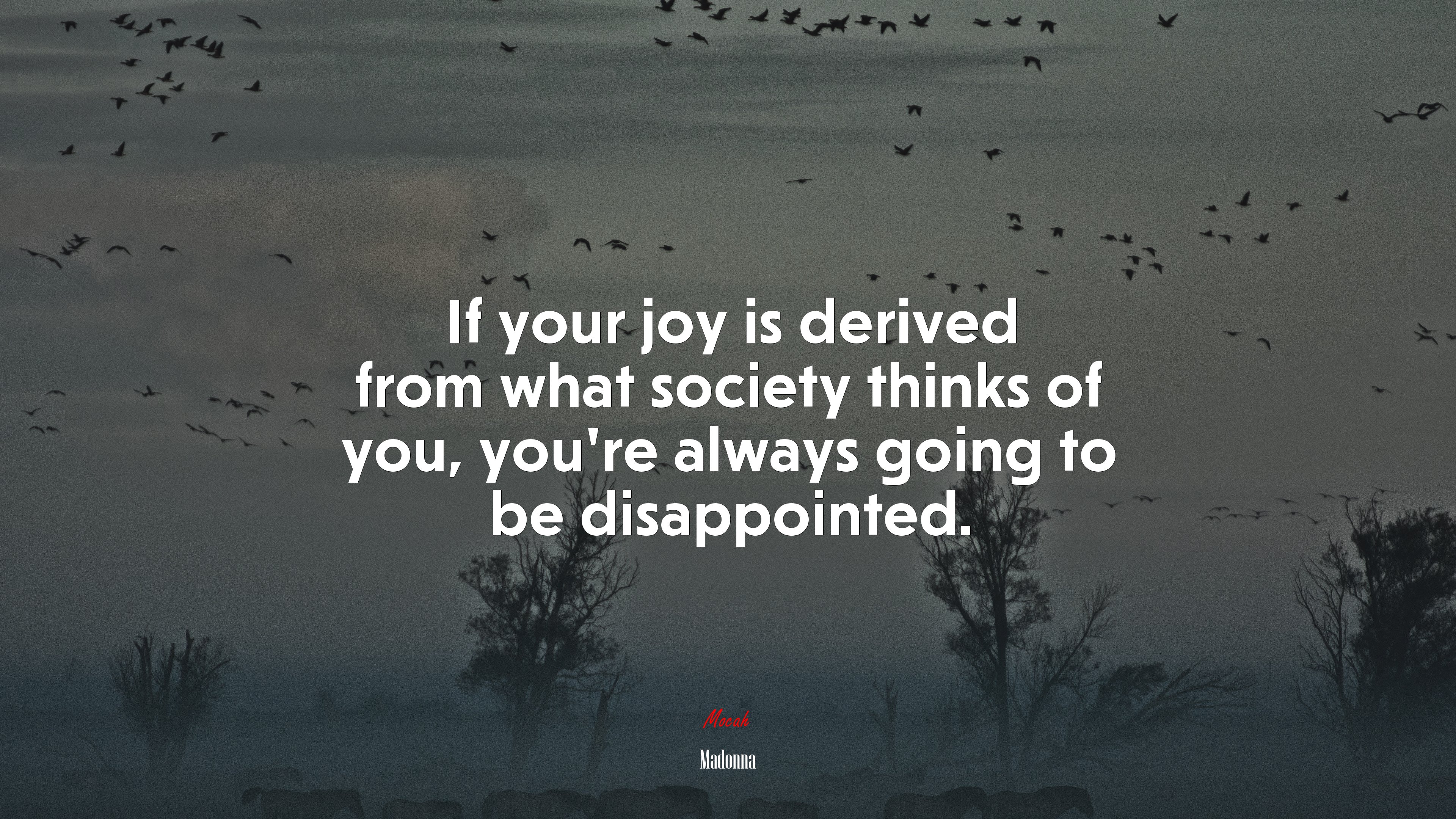 If your joy is derived from what society thinks of you, youre always going to be disappointed. | Madonna quote HD Wallpaper