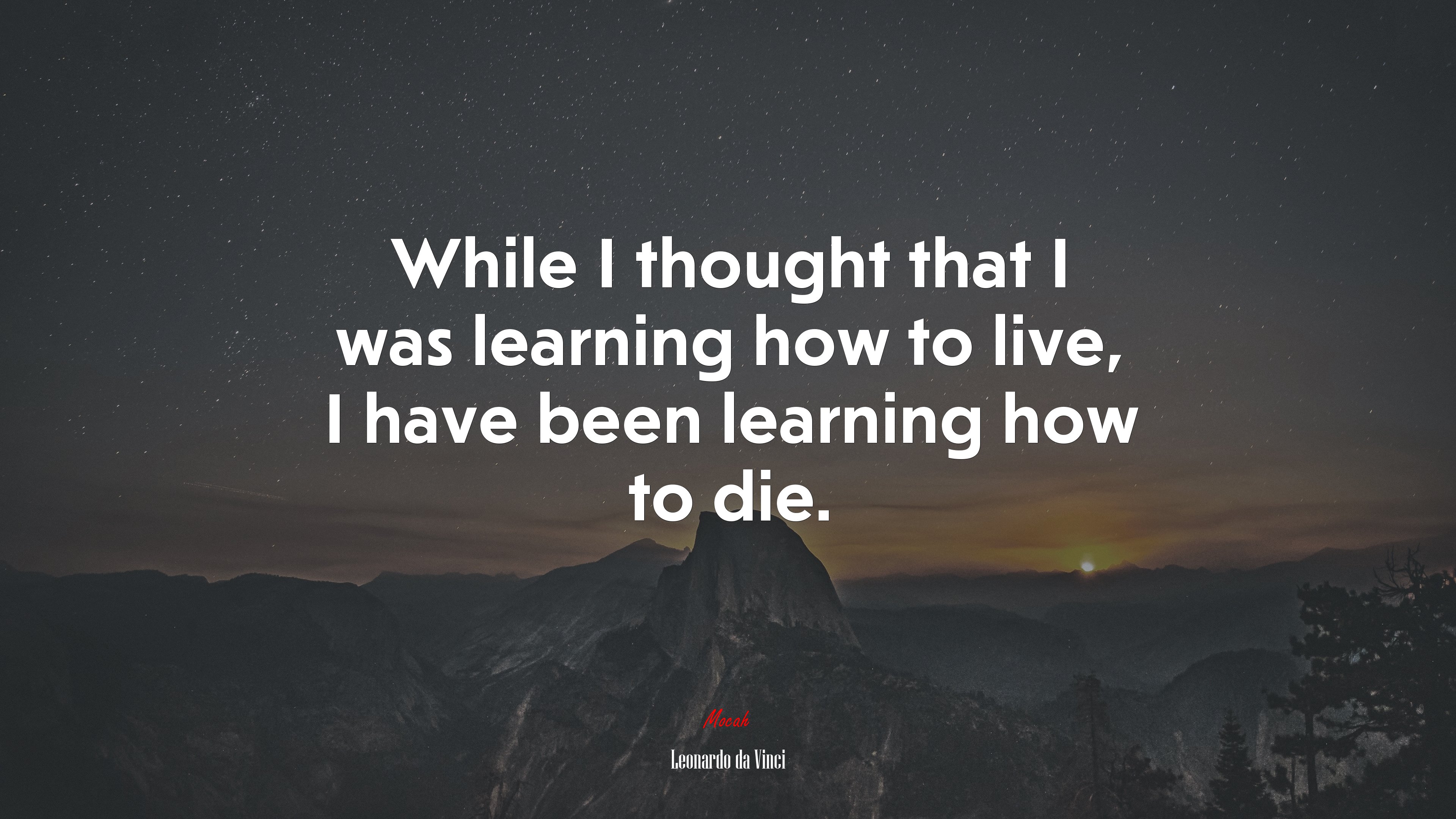 While I thought that I was learning how to live, I have been learning how to die. | Leonardo da Vinci quote HD Wallpaper