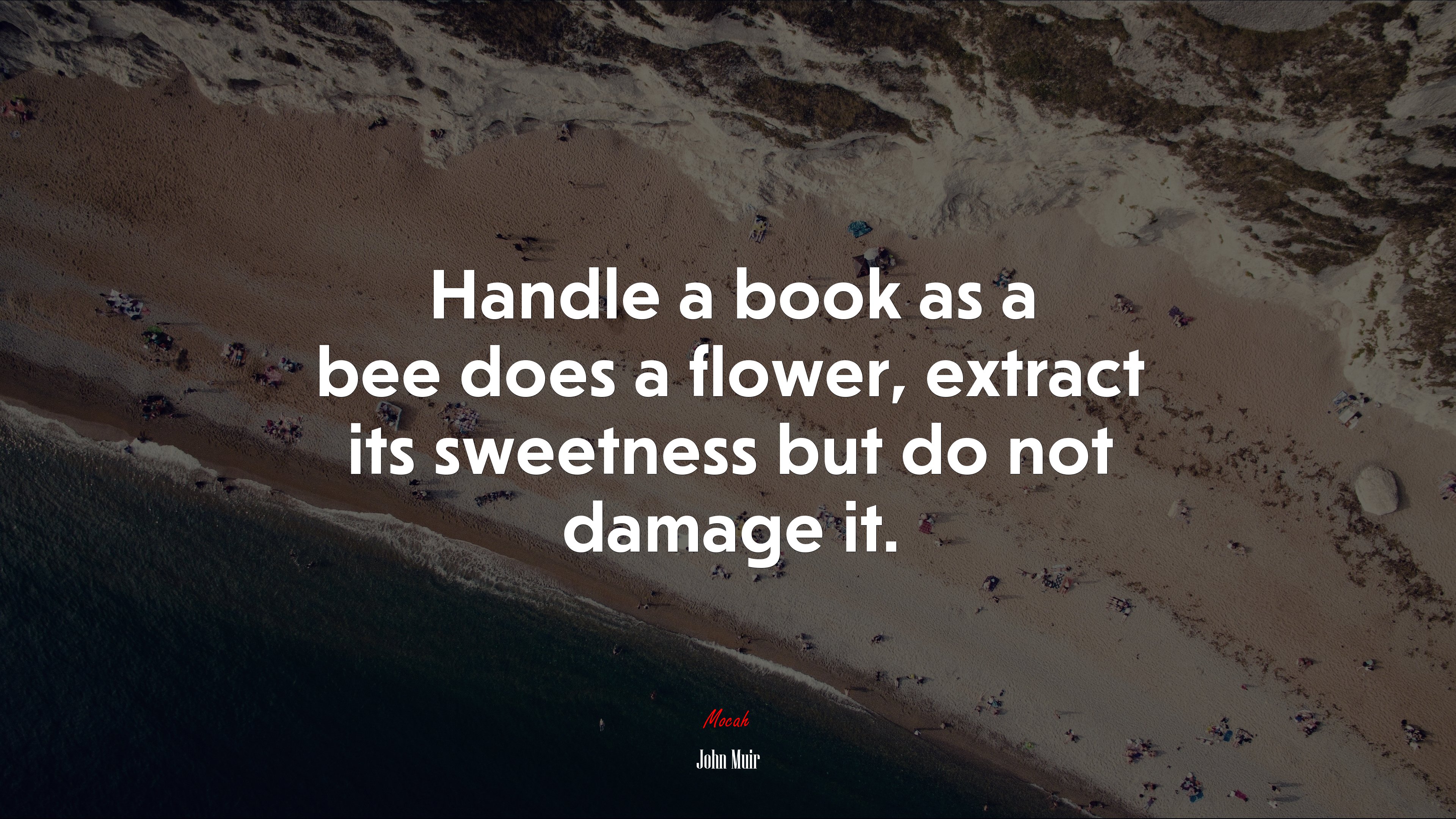 Handle a book as a bee does a flower, extract its sweetness but do not damage it. | John Muir quote HD Wallpaper