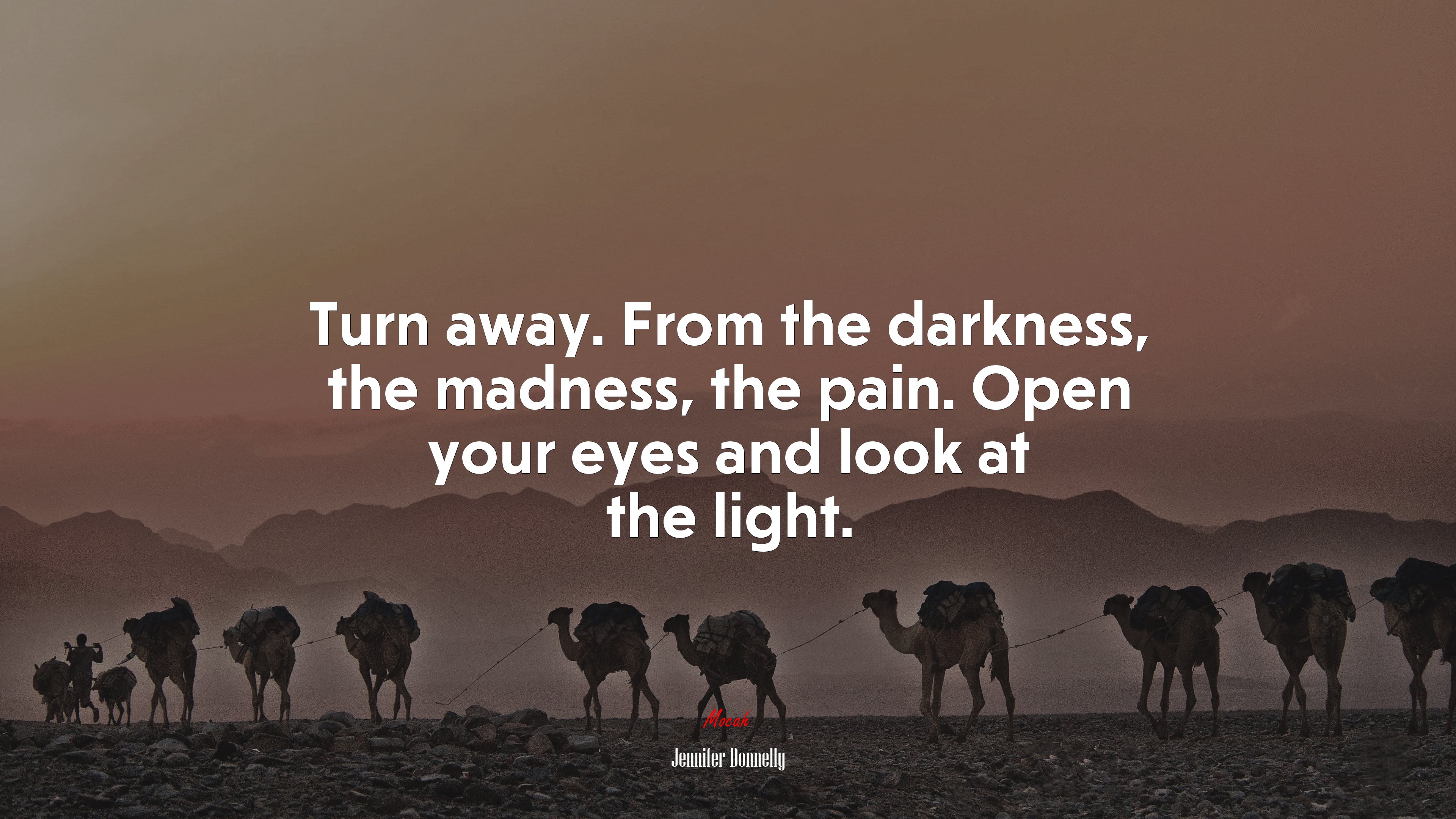 Turn away. From the darkness, the madness, the pain. Open your eyes and look at the light. | Jennifer Donnelly quote HD Wallpaper