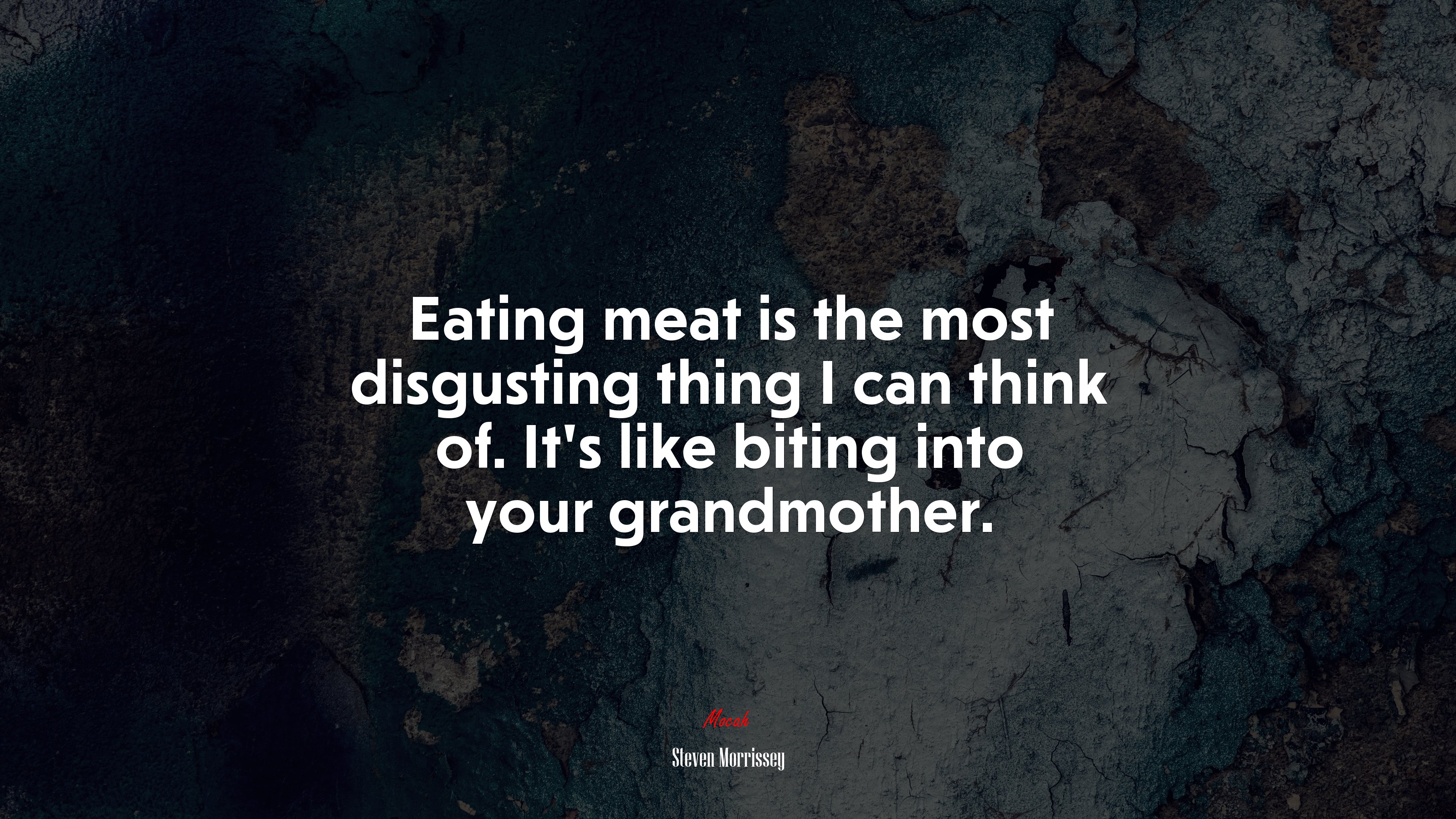 Eating meat is the most disgusting thing I can think of. It’s like biting into your grandmother. | Steven Morrissey quote HD Wallpaper