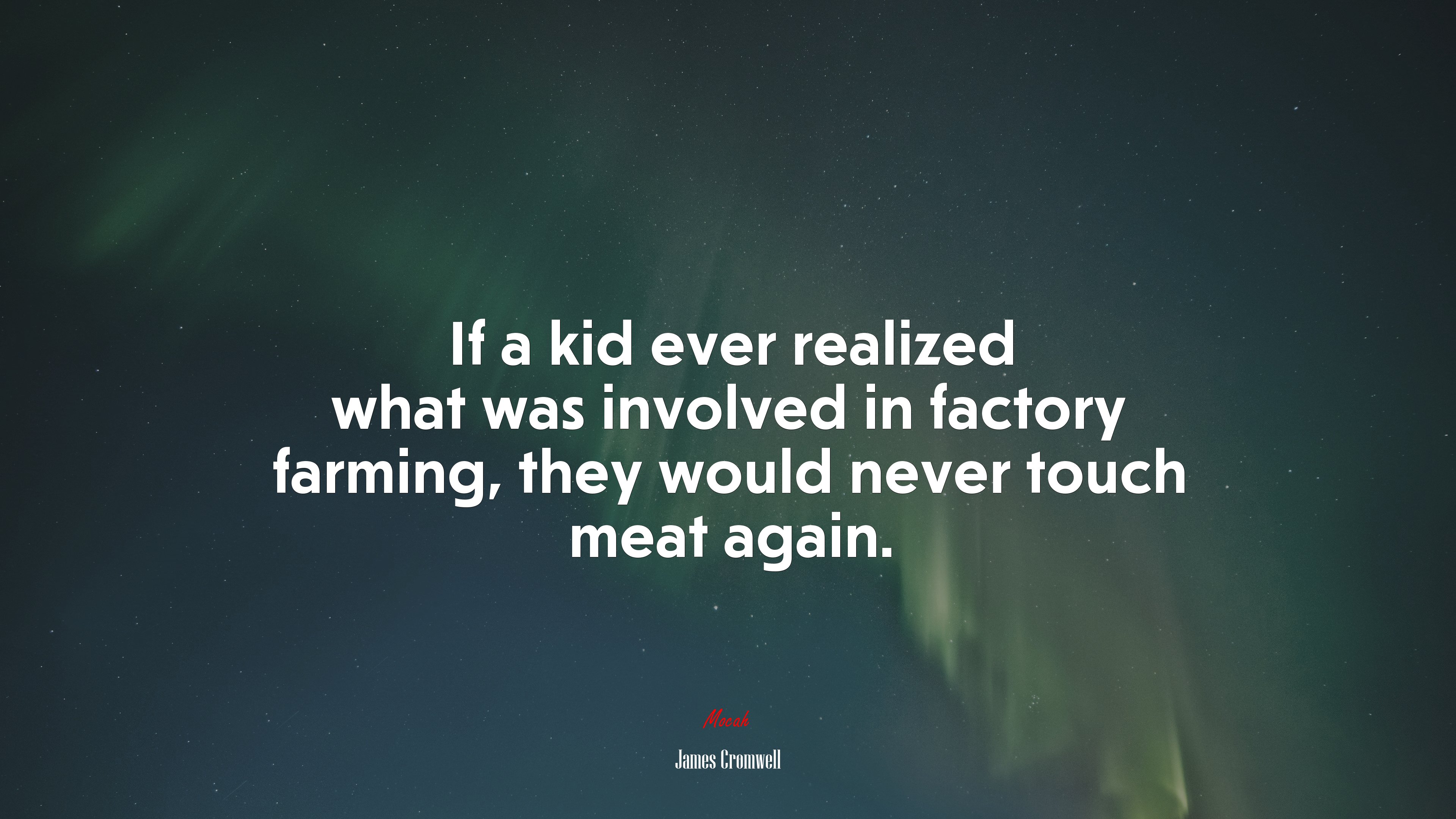 If a kid ever realized what was involved in factory farming, they would never touch meat again. | James Cromwell quote HD Wallpaper