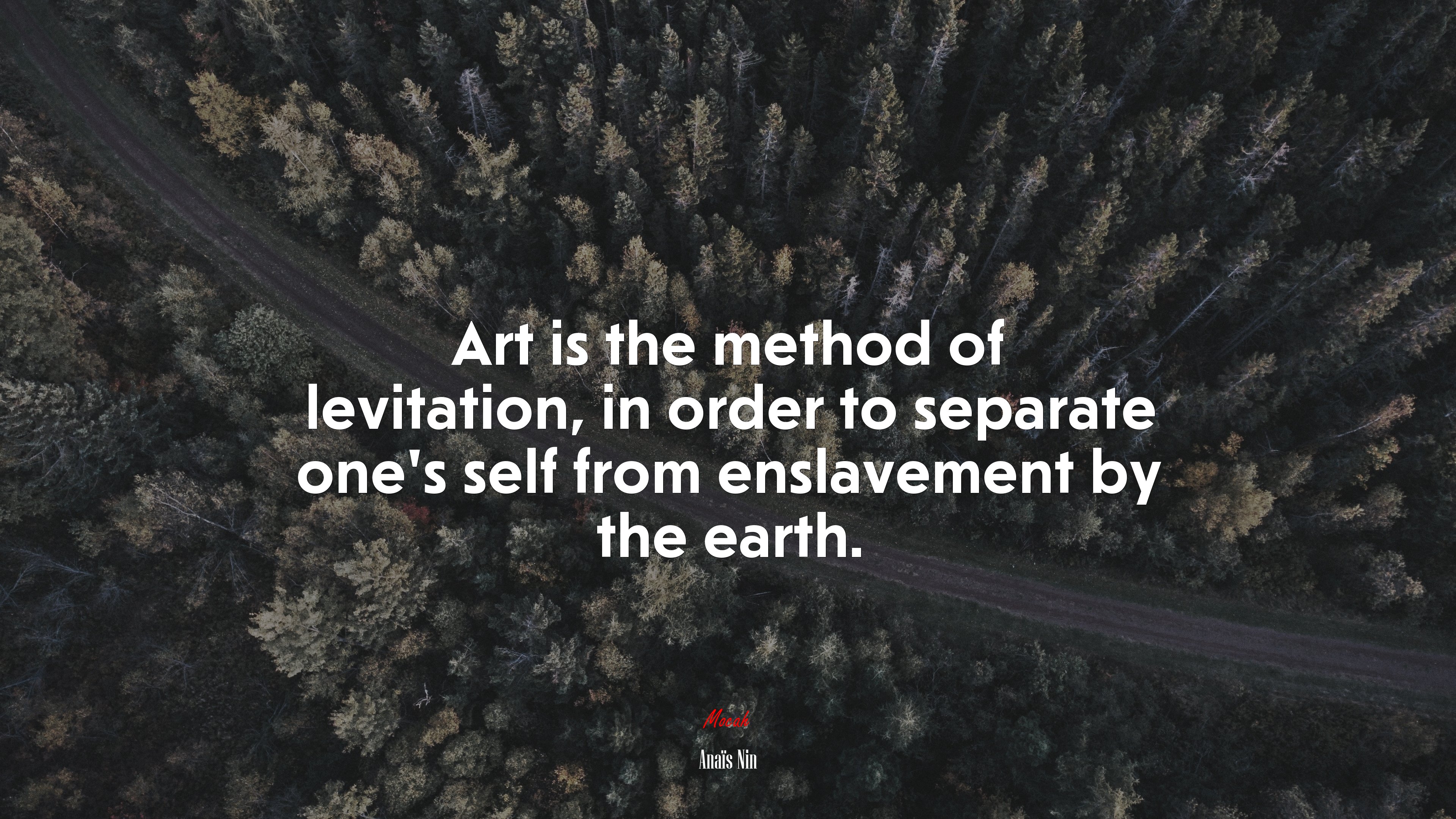 Art is the method of levitation, in order to separate one’s self from enslavement by the earth. | Anaïs Nin quote HD Wallpaper