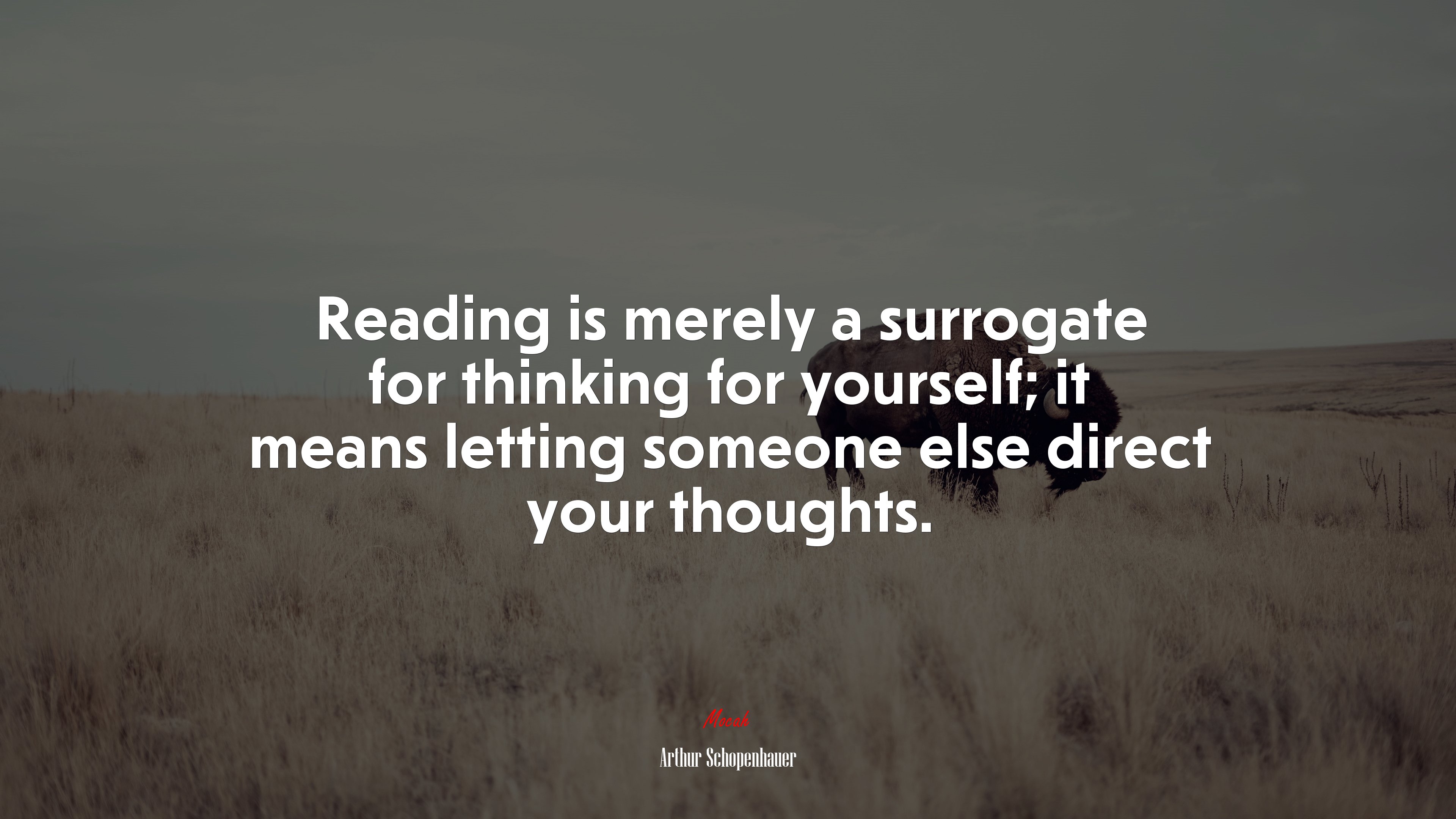 Reading is merely a surrogate for thinking for yourself; it means letting someone else direct your thoughts. | Arthur Schopenhauer quote HD Wallpaper