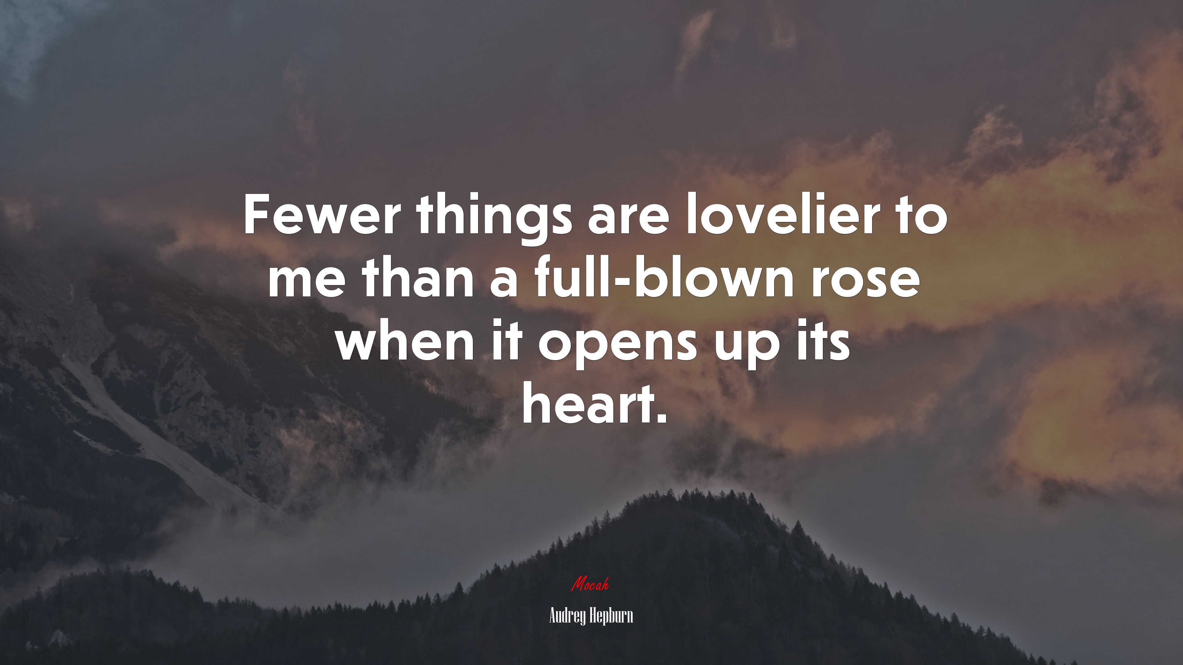 Fewer things are lovelier to me than a full-blown rose when it opens up its heart. | Audrey Hepburn quote HD Wallpaper