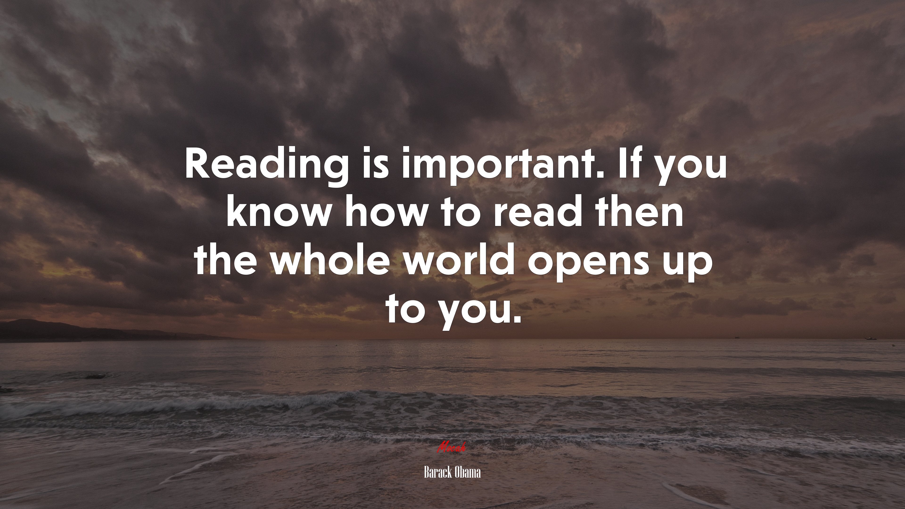 Reading is important. If you know how to read then the whole world opens up to you. | Barack Obama quote HD Wallpaper