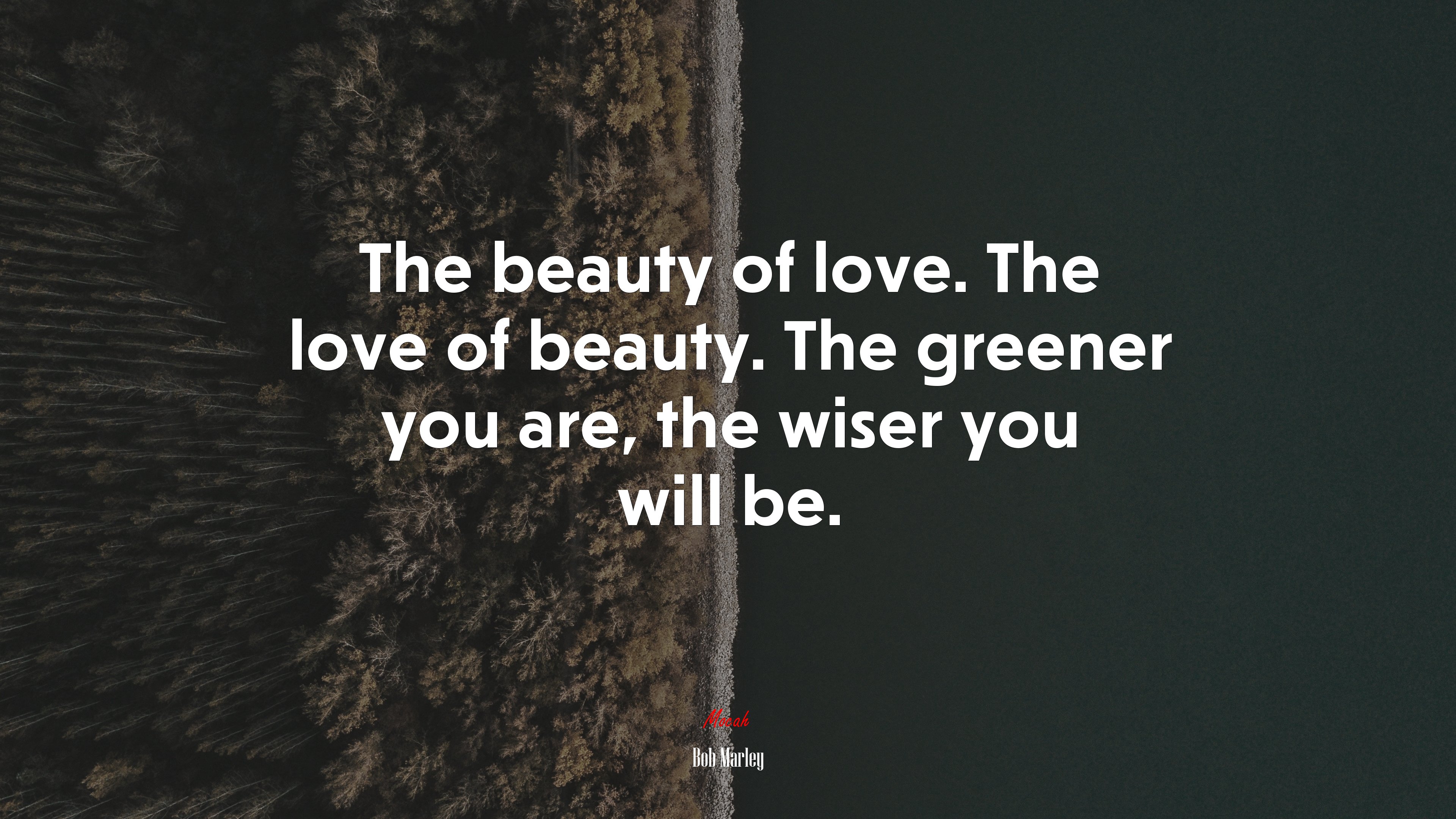 The beauty of love. The love of beauty. The greener you are, the wiser you will be. | Bob Marley quote HD Wallpaper