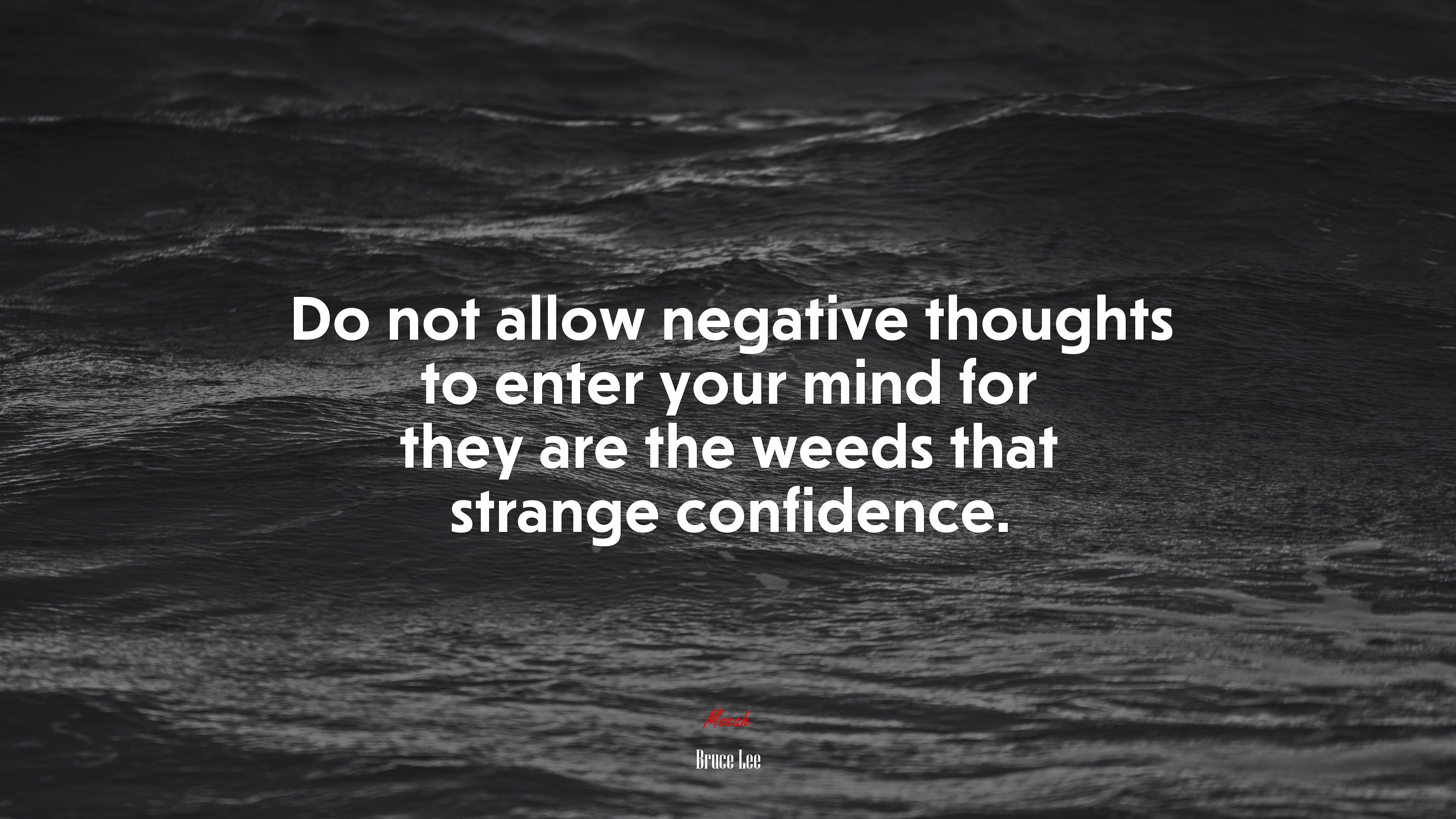 Do not allow negative thoughts to enter your mind for they are the weeds that strange confidence. | Bruce Lee quote HD Wallpaper