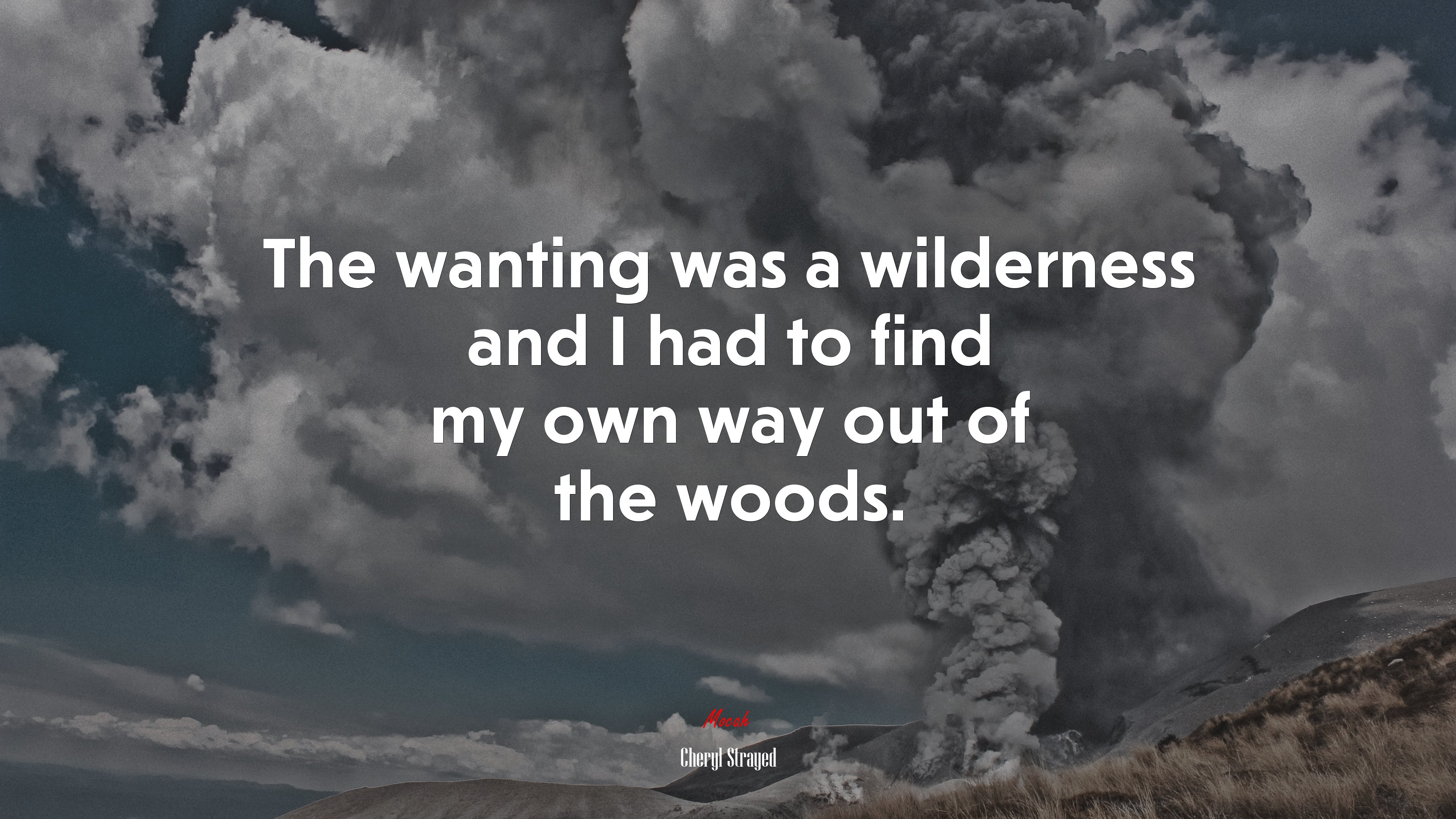 The wanting was a wilderness and I had to find my own way out of the woods. | Cheryl Strayed quote HD Wallpaper