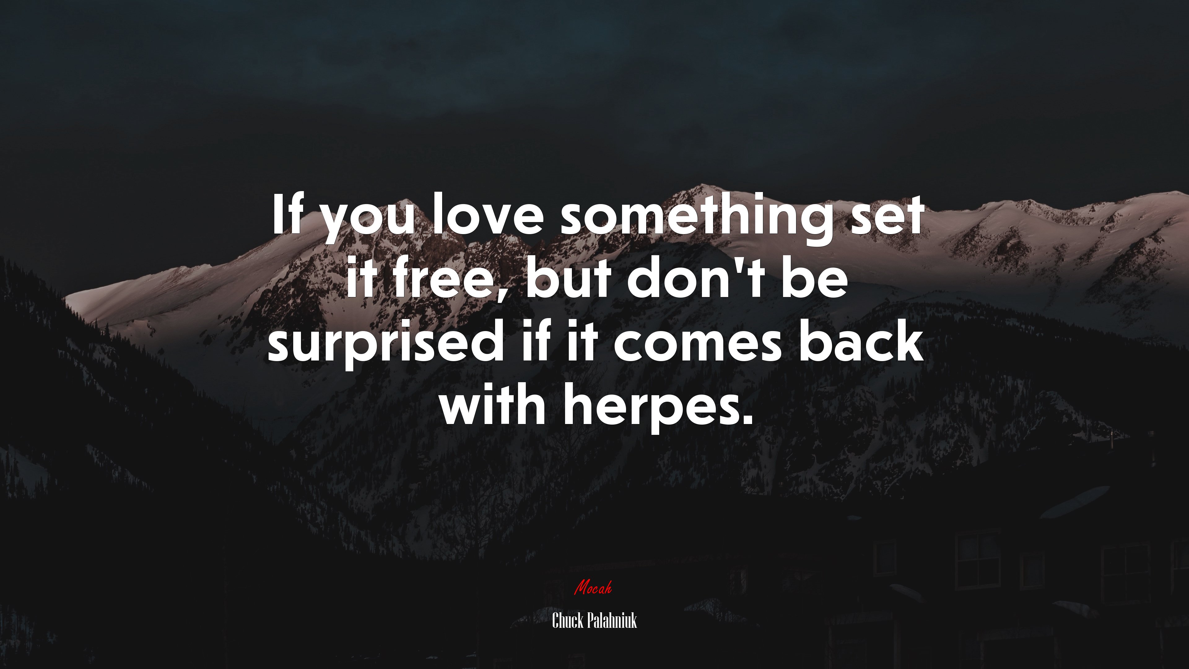 If you love something set it free, but don’t be surprised if it comes back with herpes. | Chuck Palahniuk quote HD Wallpaper