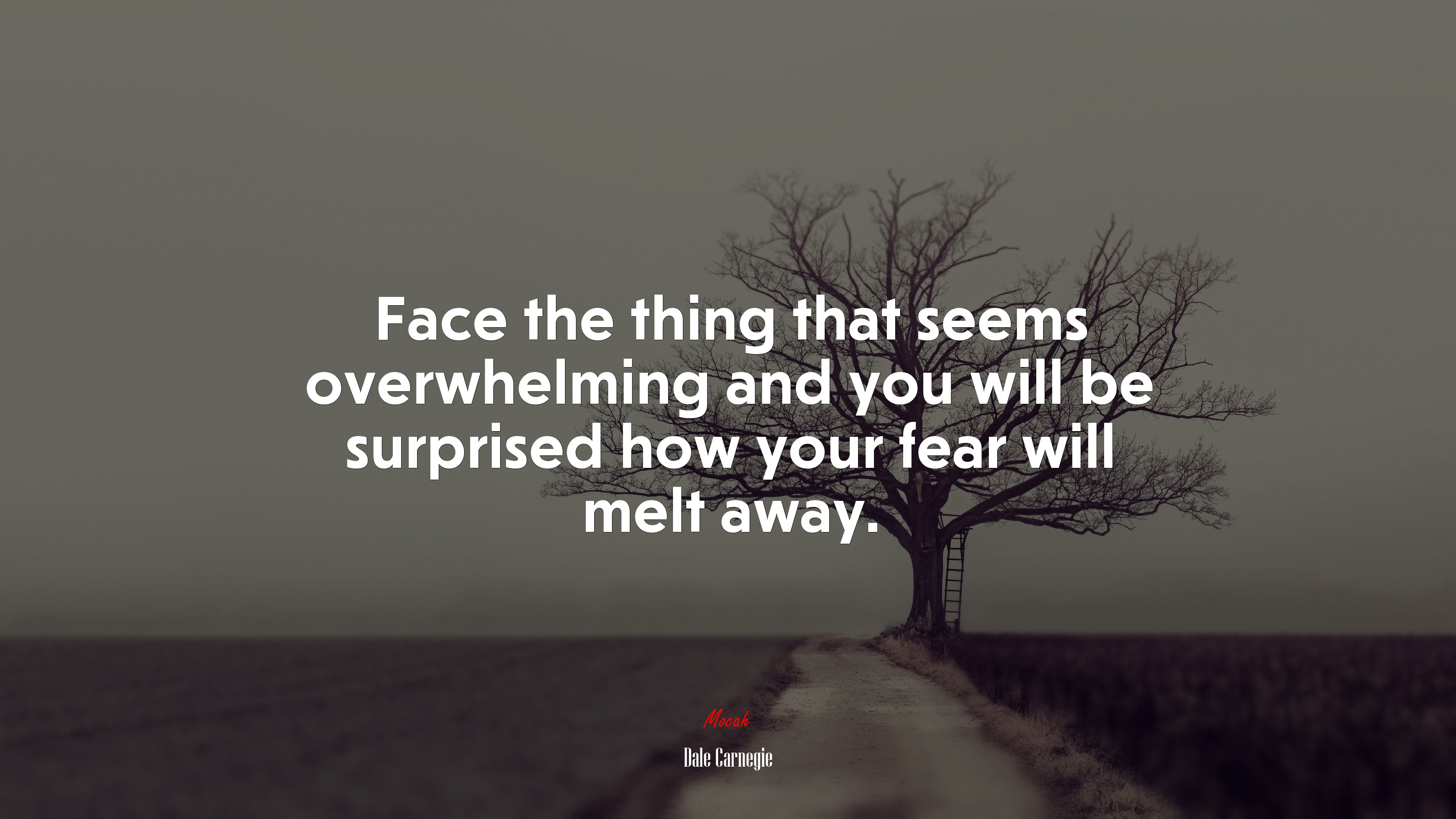 Face the thing that seems overwhelming and you will be surprised how your fear will melt away. | Dale Carnegie quote HD Wallpaper