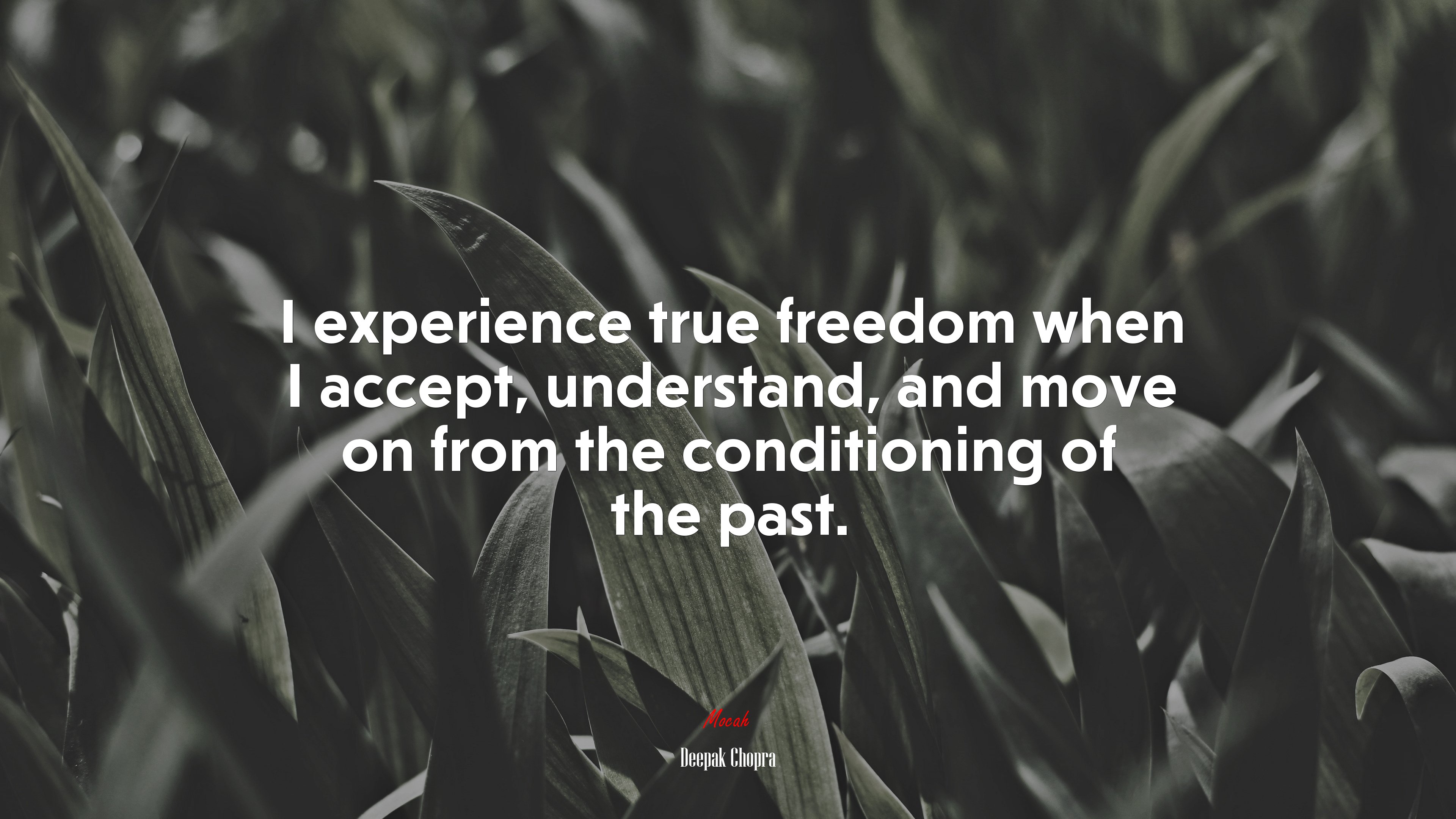 I experience true freedom when I accept, understand, and move on from the conditioning of the past. | Deepak Chopra quote HD Wallpaper