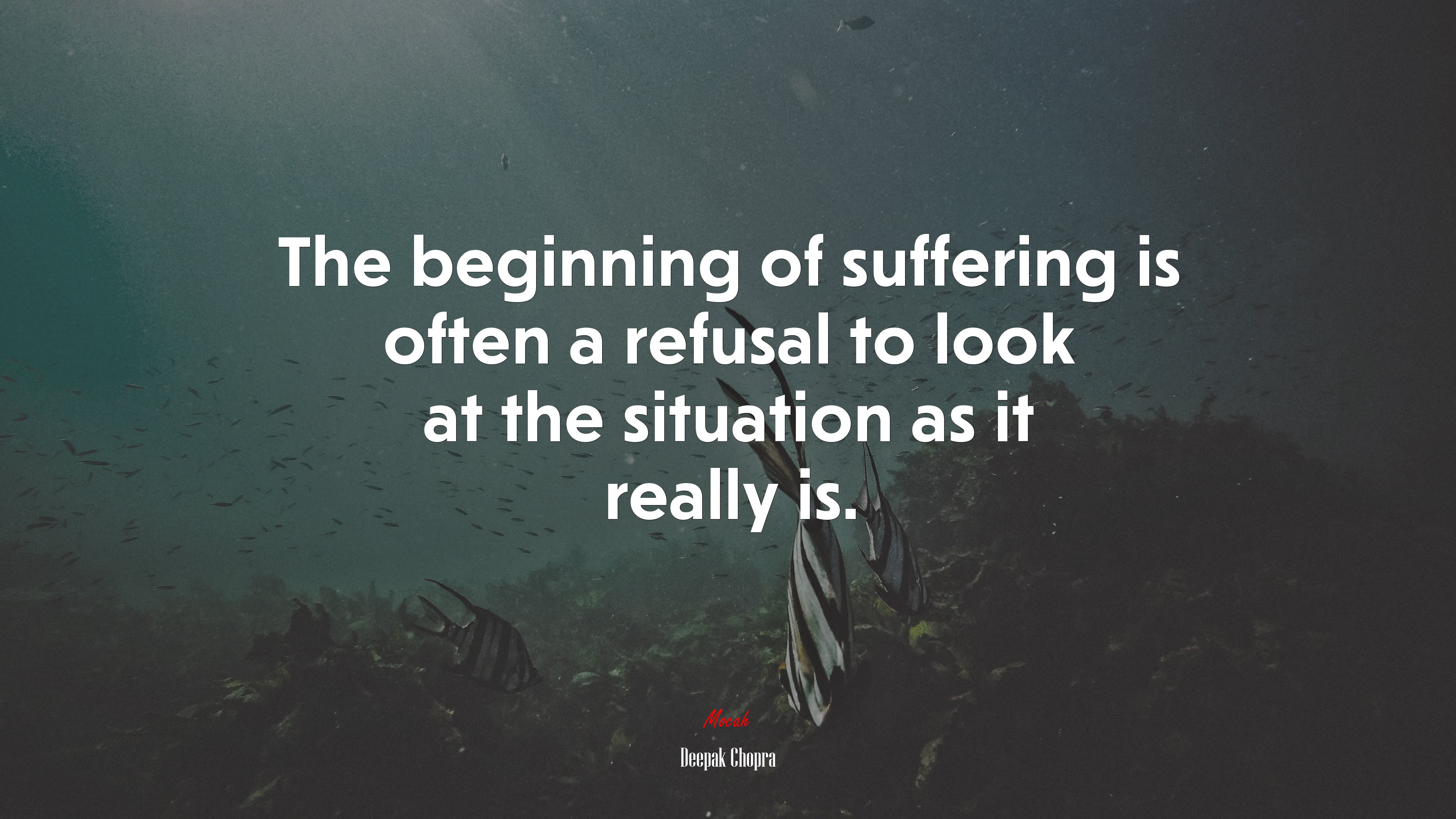 The beginning of suffering is often a refusal to look at the situation as it really is. | Deepak Chopra quote HD Wallpaper