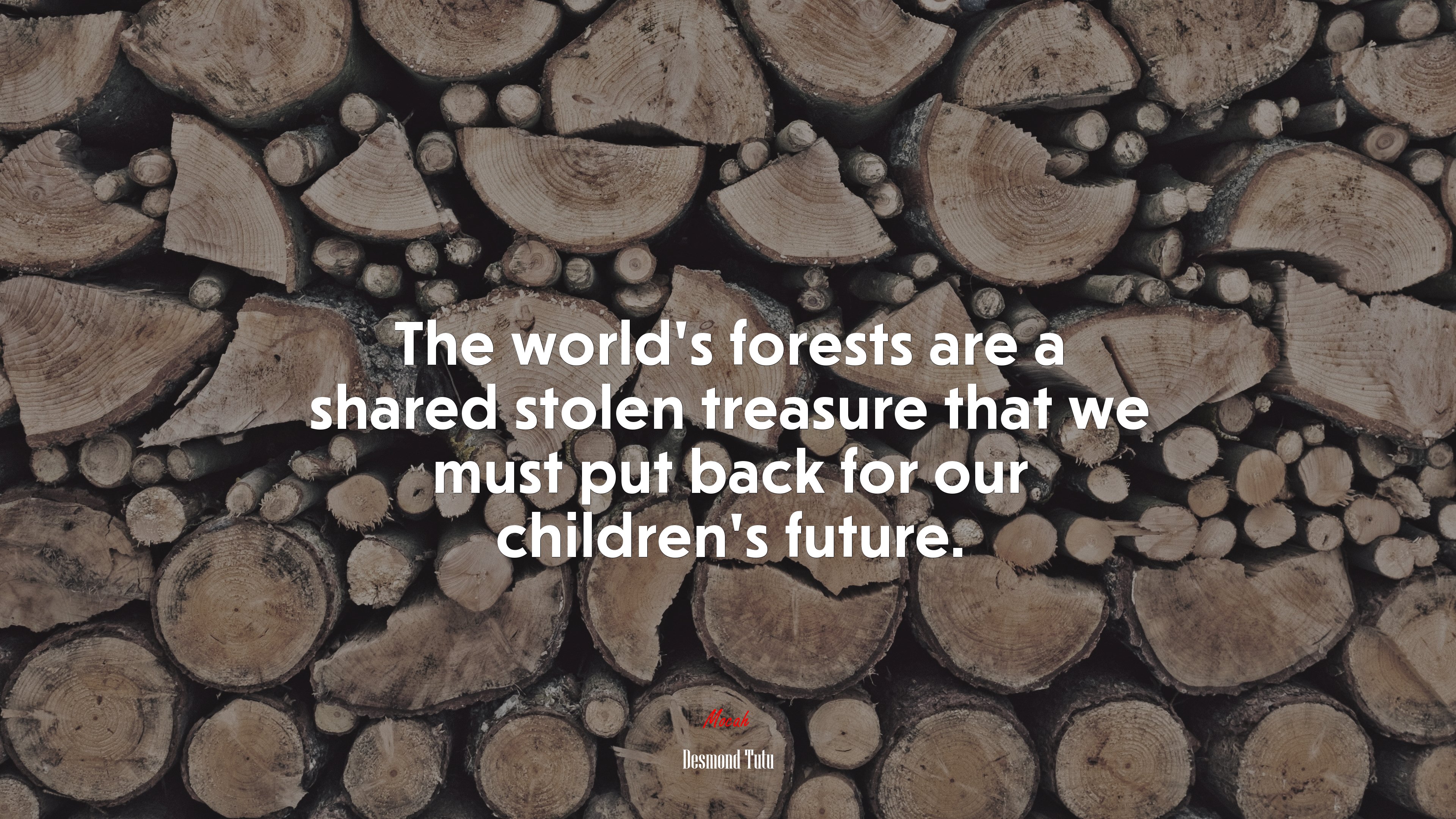 The world’s forests are a shared stolen treasure that we must put back for our children’s future. | Desmond Tutu quote HD Wallpaper