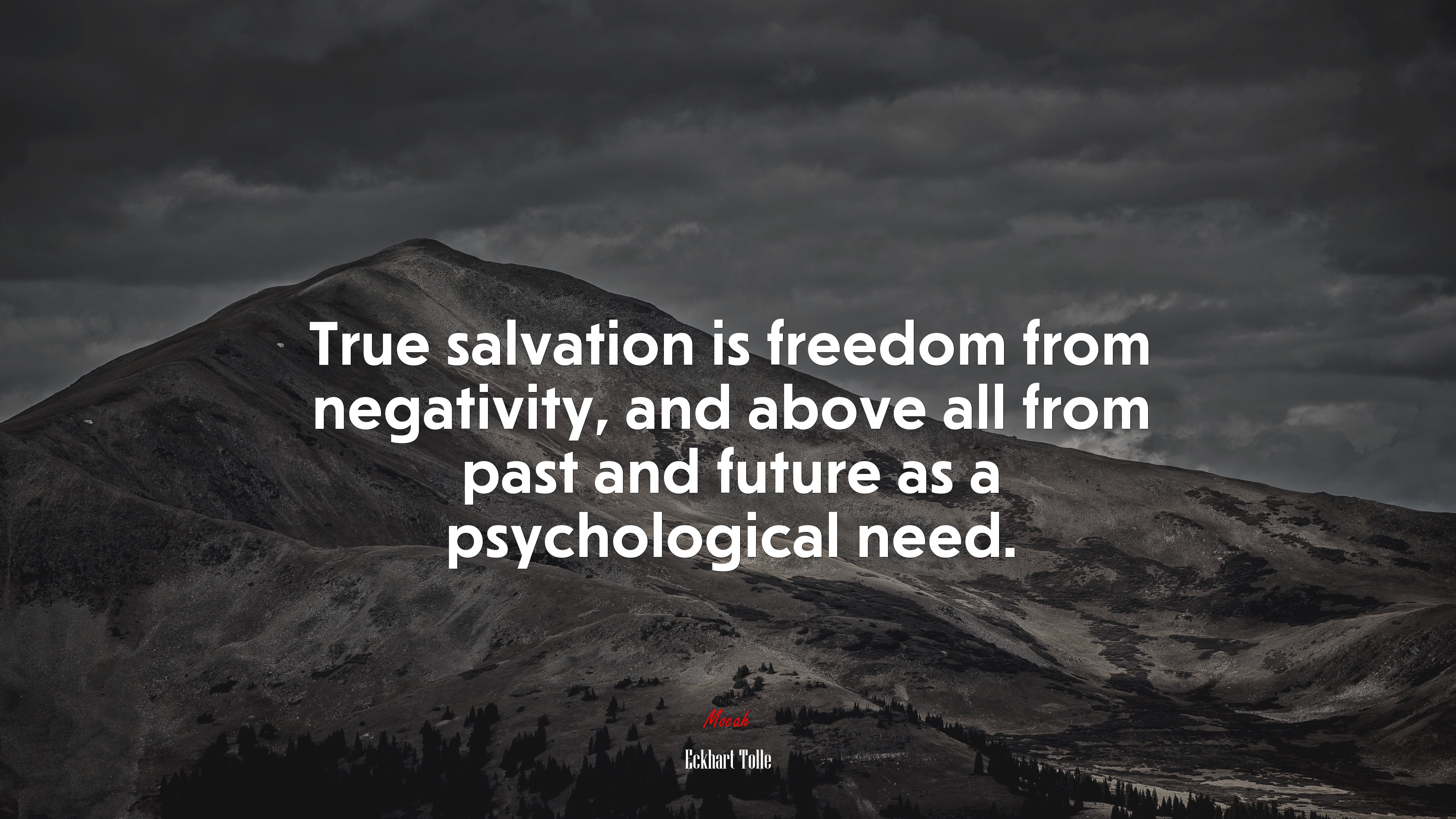 True salvation is freedom from negativity, and above all from past and future as a psychological need. | Eckhart Tolle quote HD Wallpaper
