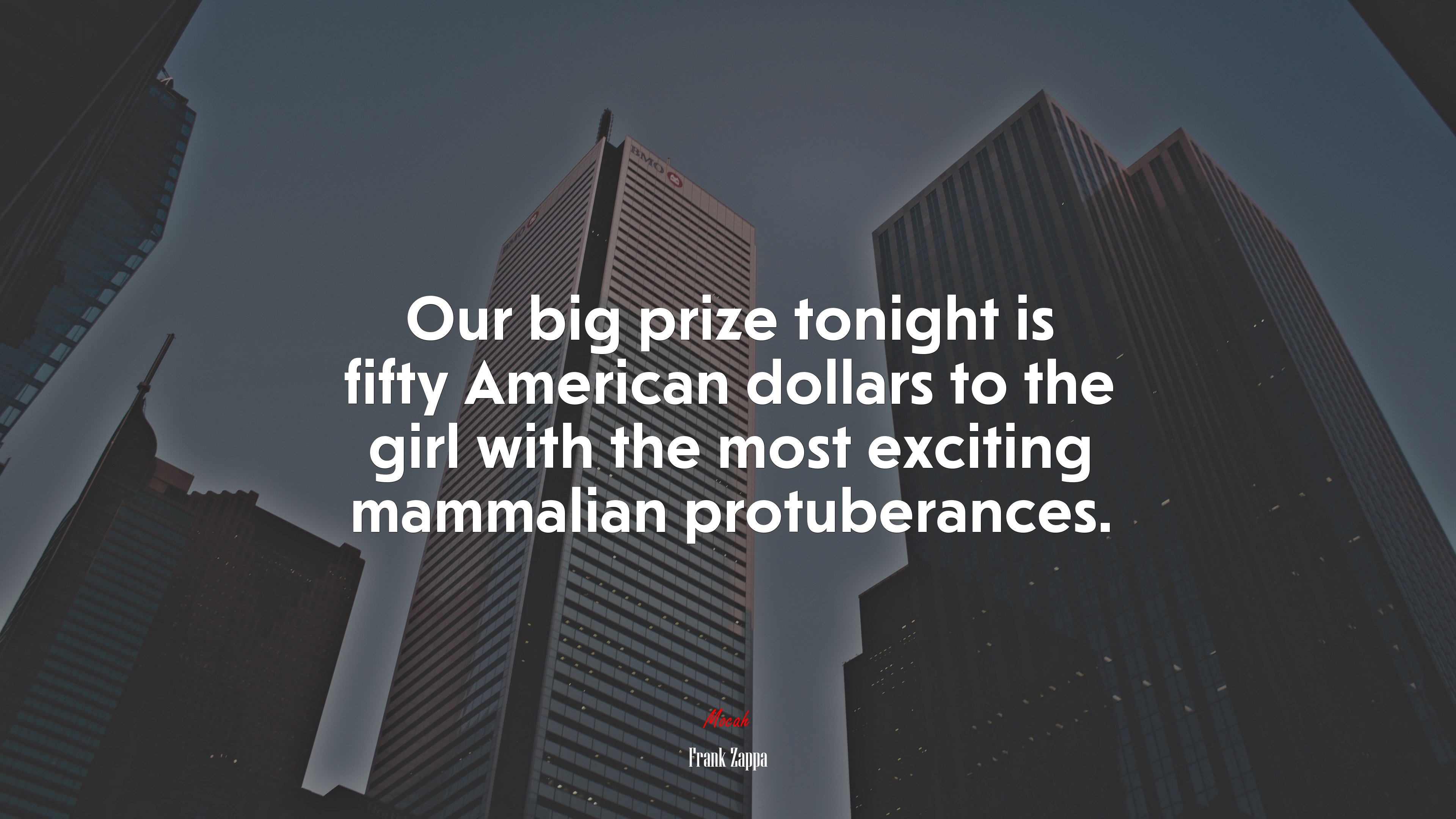 Our big prize tonight is fifty American dollars to the girl with the most exciting mammalian protuberances. | Frank Zappa quote HD Wallpaper