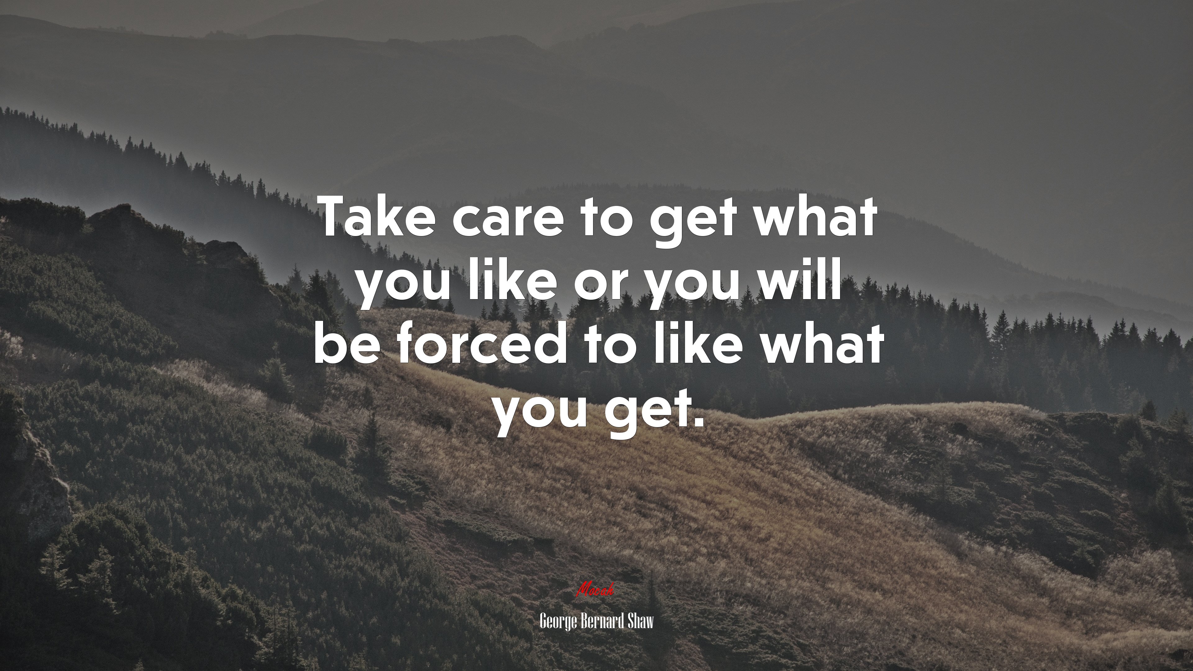 Take care to get what you like or you will be forced to like what you get. | George Bernard Shaw quote HD Wallpaper