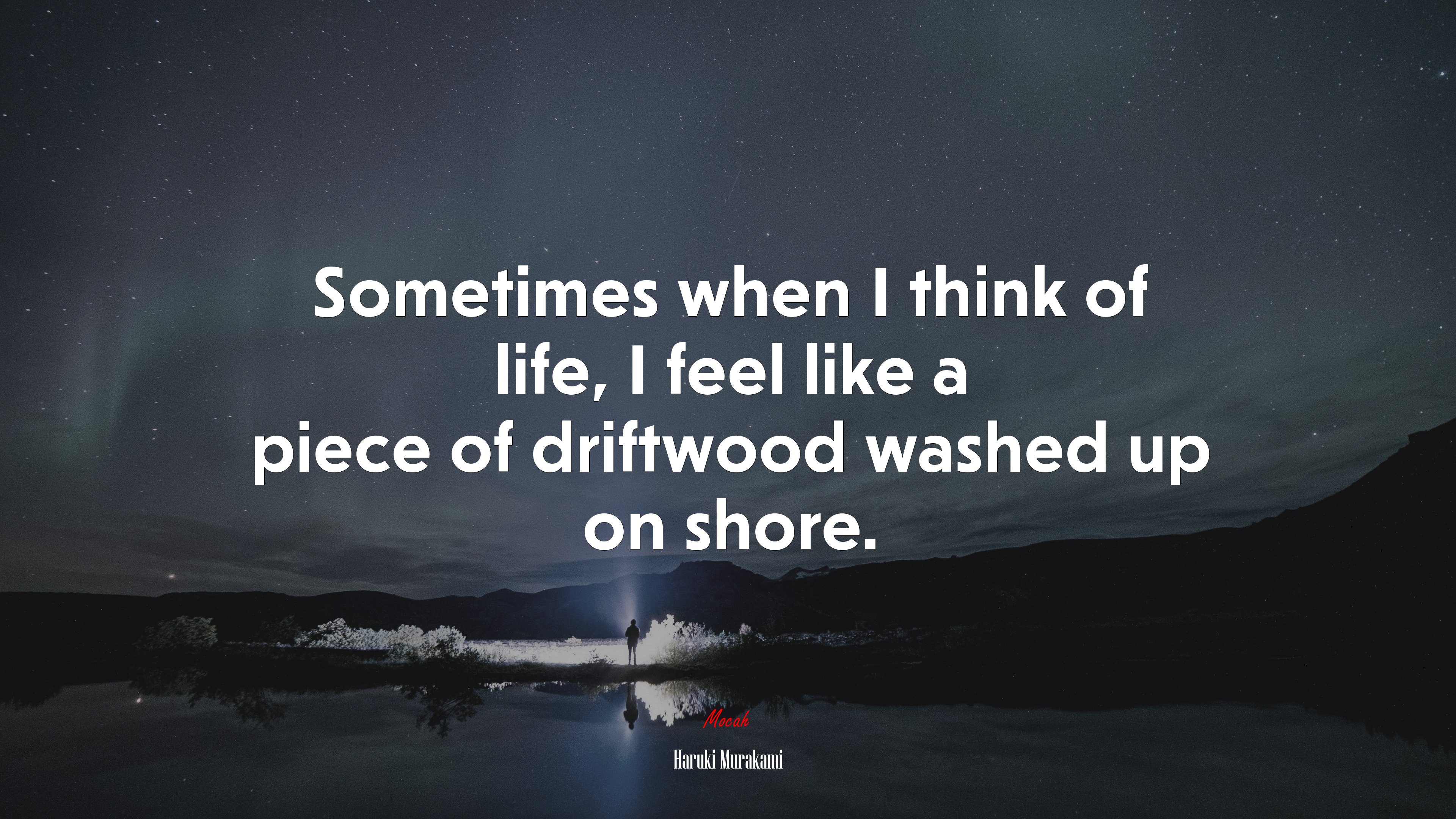 Sometimes when I think of life, I feel like a piece of driftwood washed up on shore. | Haruki Murakami quote HD Wallpaper
