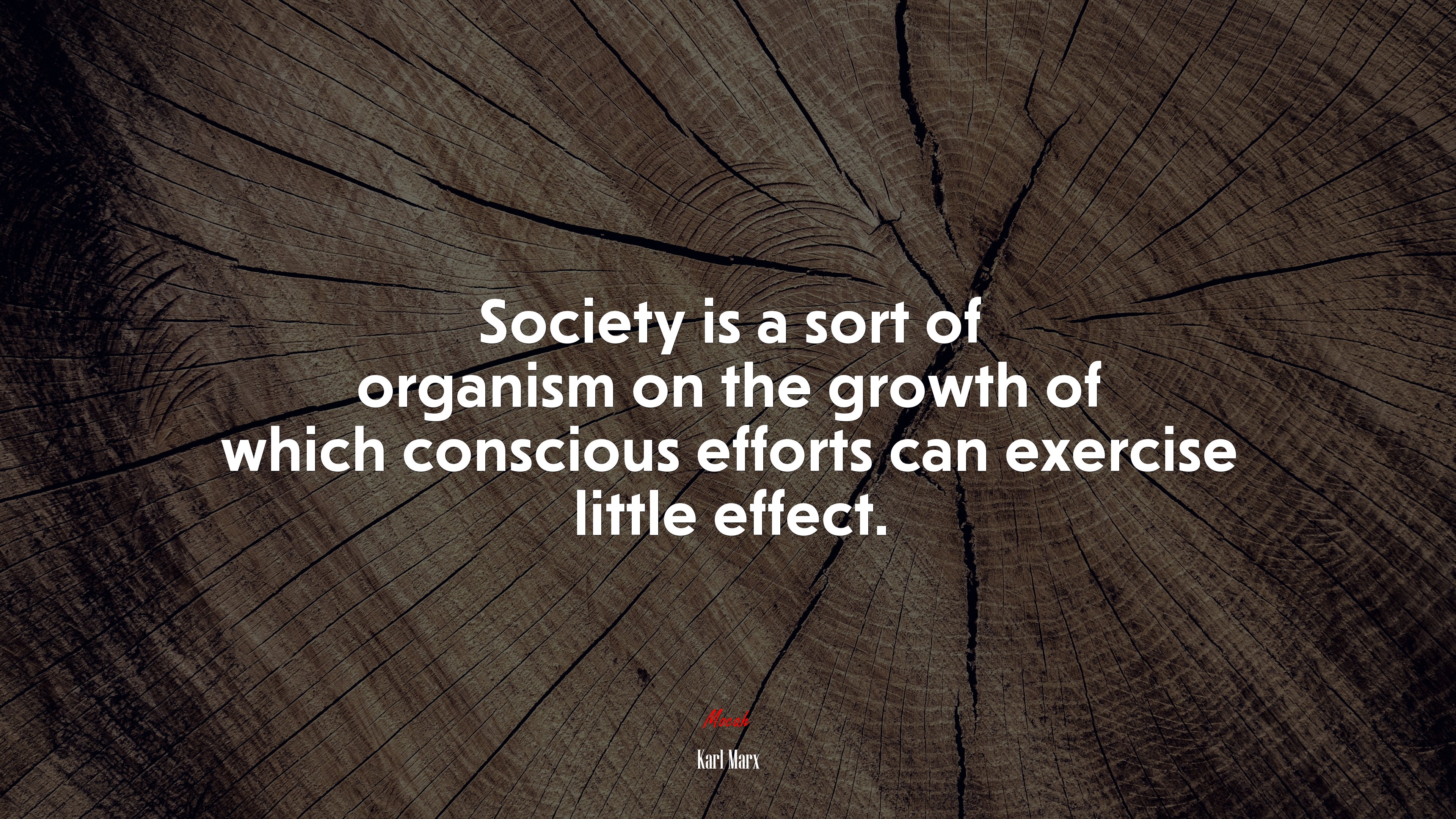 Society is a sort of organism on the growth of which conscious efforts can exercise little effect. | Karl Marx quote HD Wallpaper