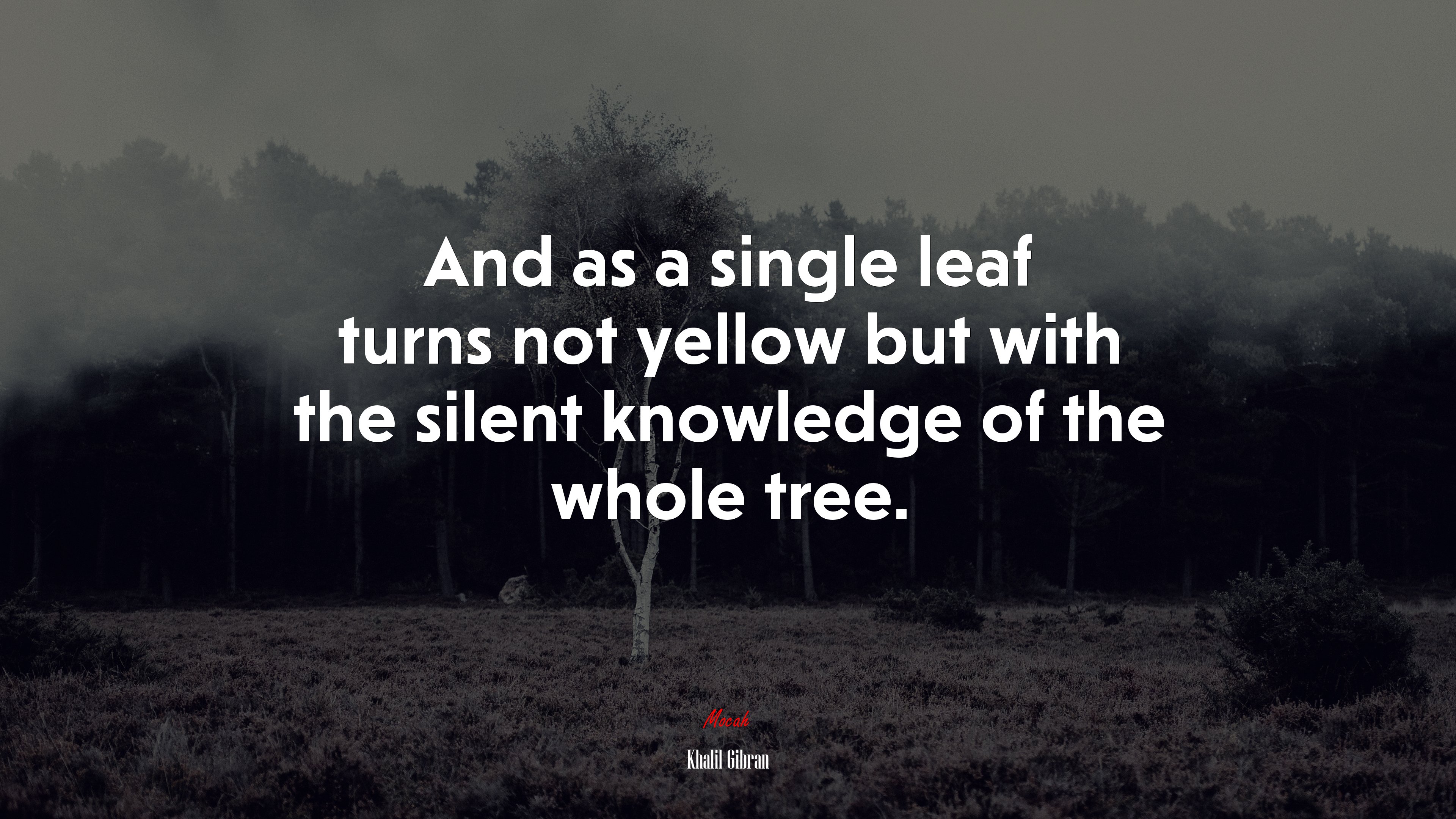 And as a single leaf turns not yellow but with the silent knowledge of the whole tree. | Khalil Gibran quote HD Wallpaper