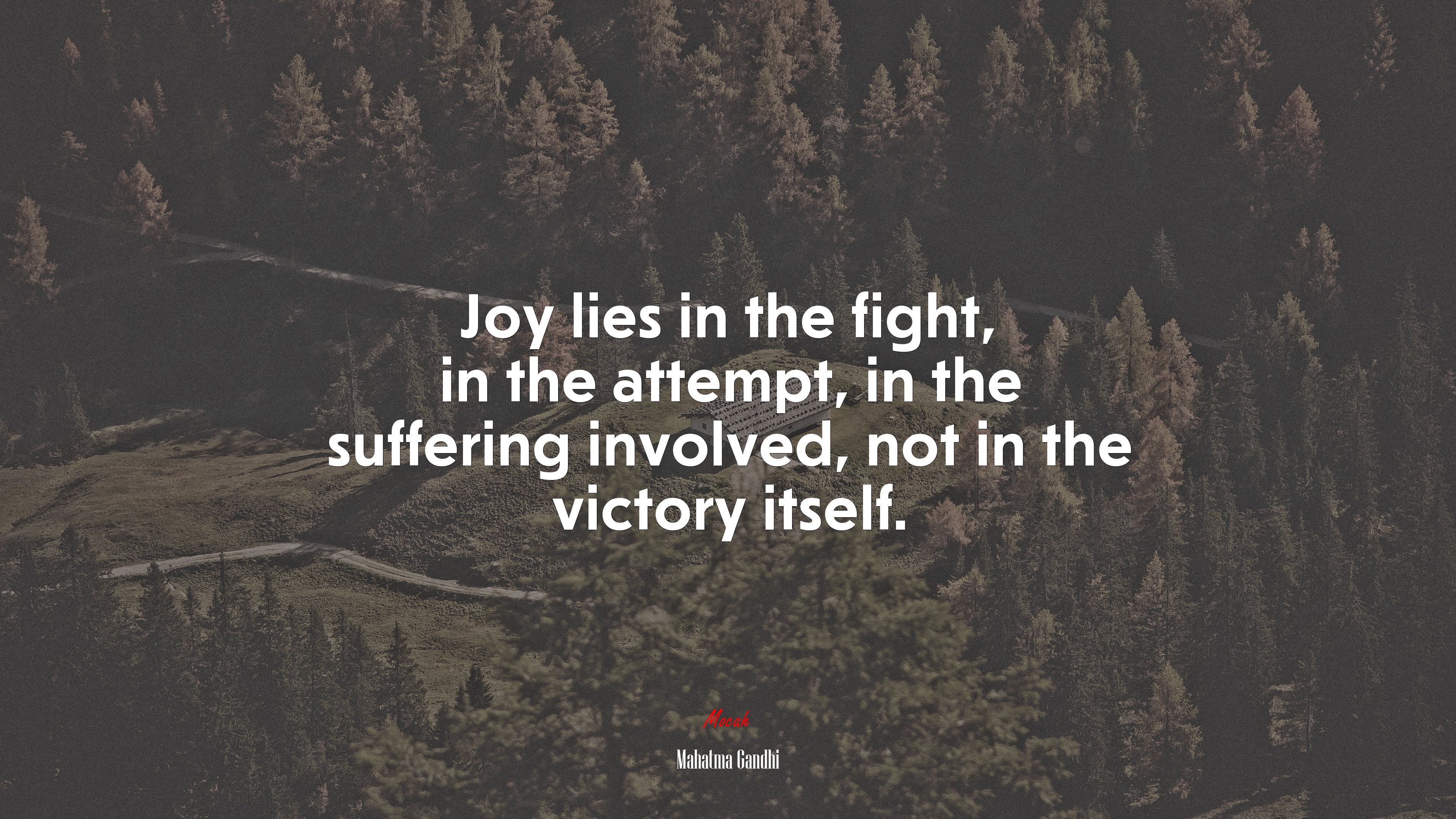 Joy lies in the fight, in the attempt, in the suffering involved, not in the victory itself. | Mahatma Gandhi quote HD Wallpaper