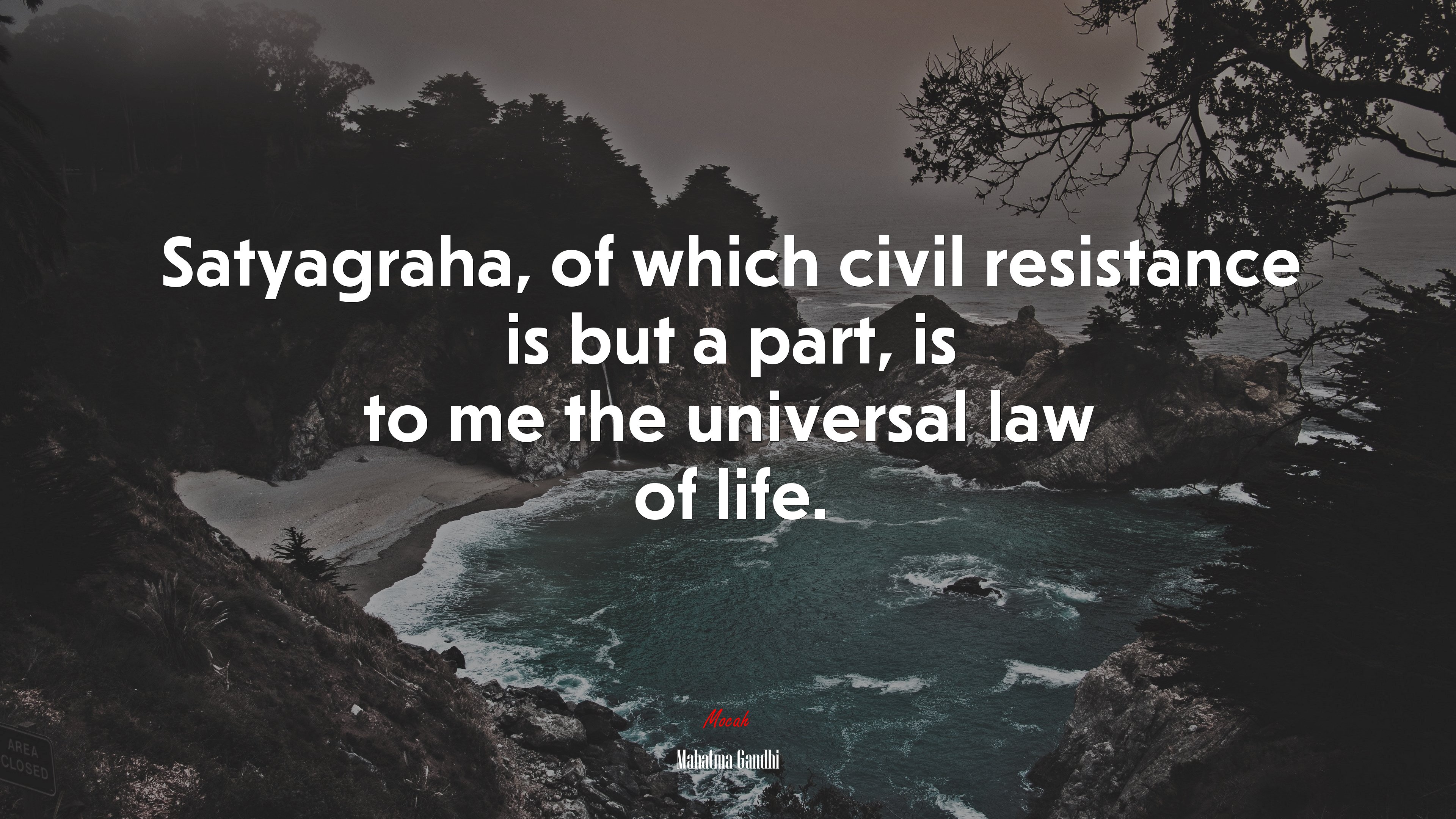 Satyagraha, of which civil resistance is but a part, is to me the universal law of life. | Mahatma Gandhi quote HD Wallpaper