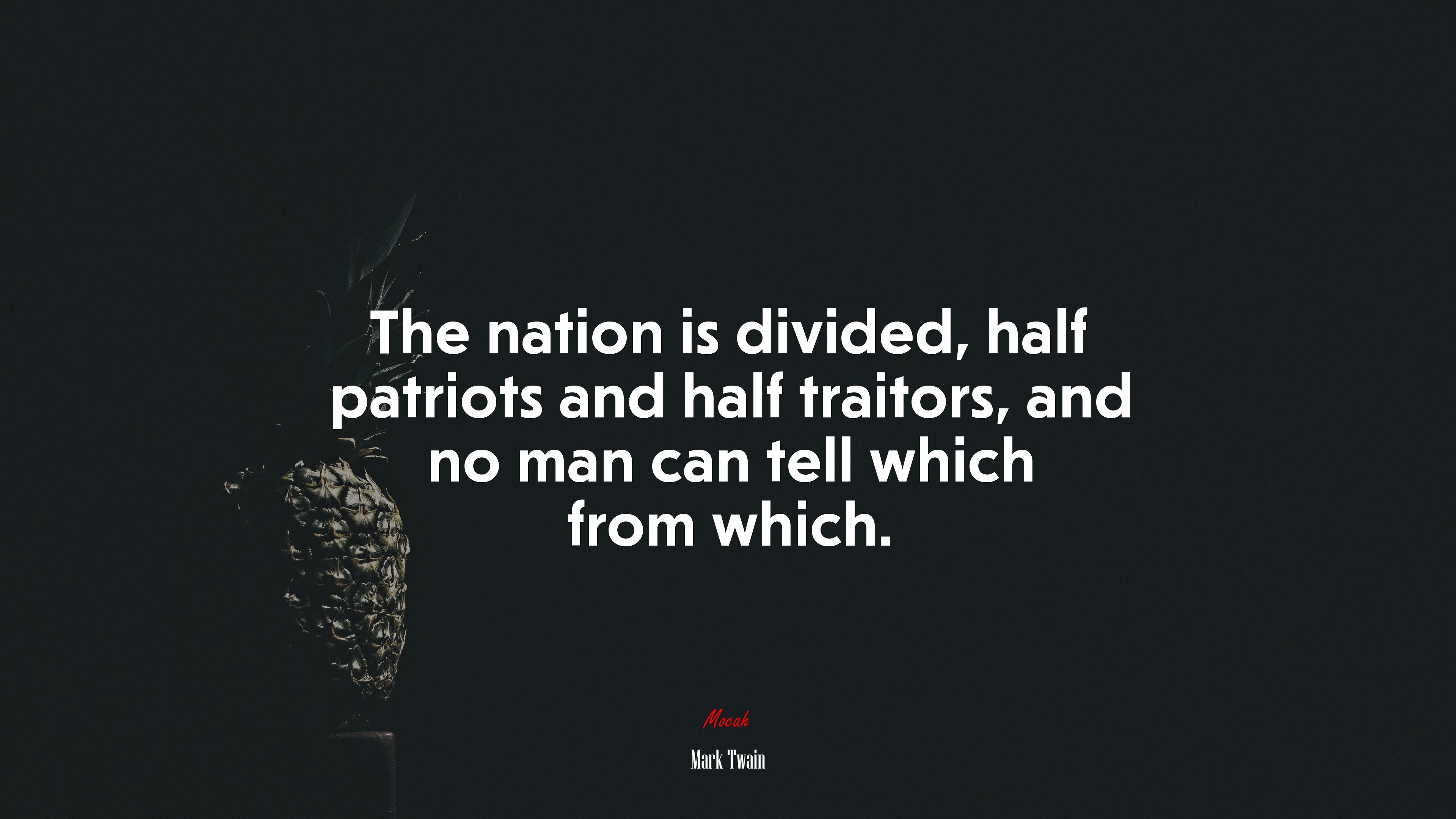 The nation is divided, half patriots and half traitors, and no man can tell which from which. | Mark Twain quote HD Wallpaper