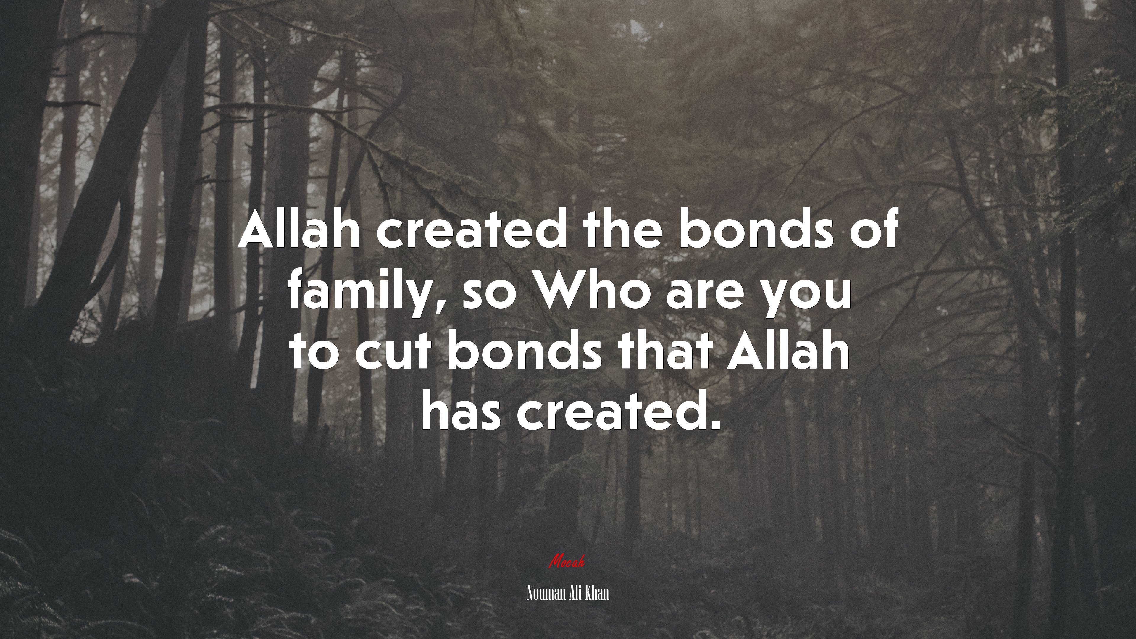 Allah created the bonds of family, so Who are you to cut bonds that Allah has created. | Nouman Ali Khan quote HD Wallpaper