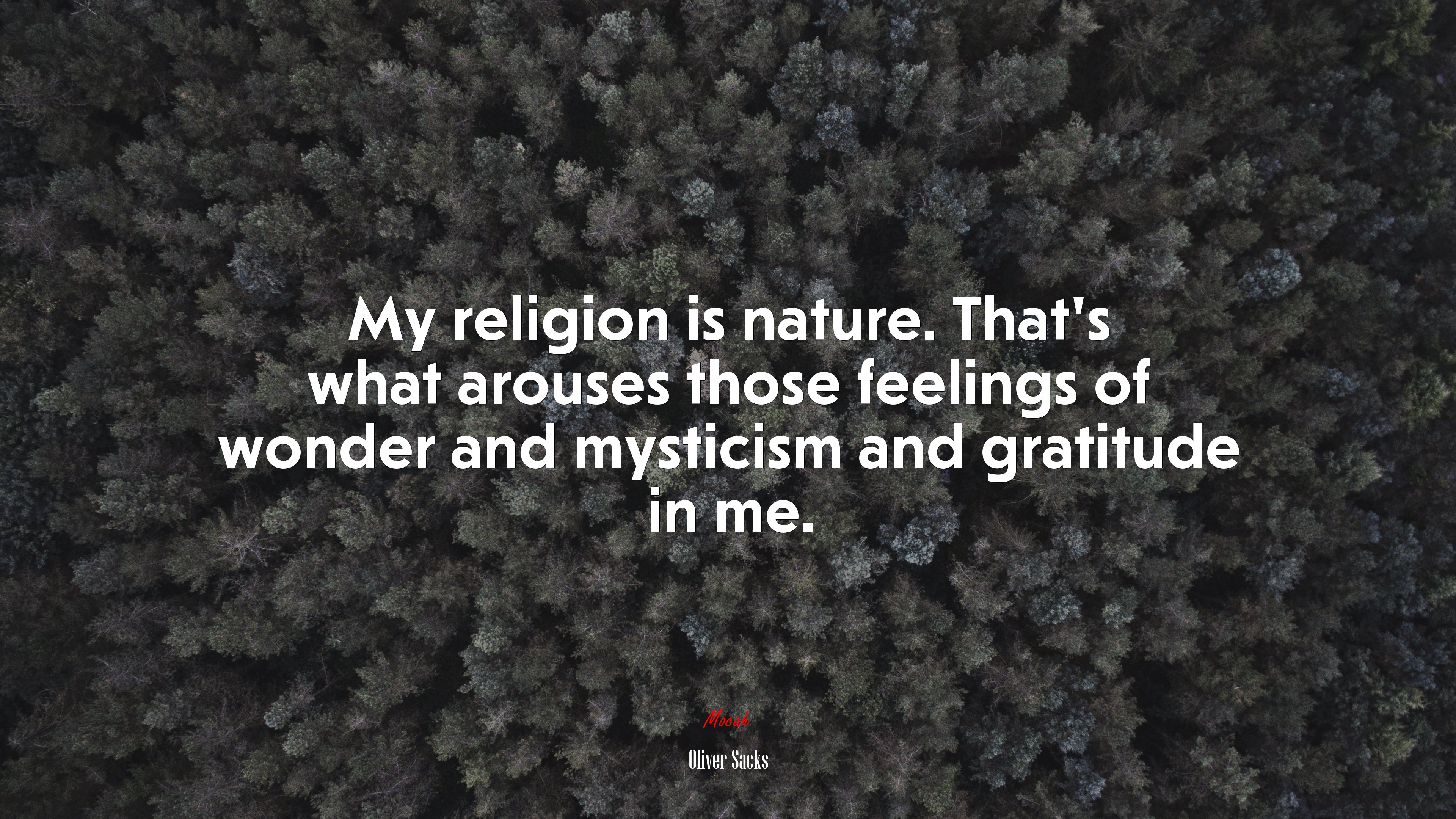 My religion is nature. That’s what arouses those feelings of wonder and mysticism and gratitude in me. | Oliver Sacks quote HD Wallpaper