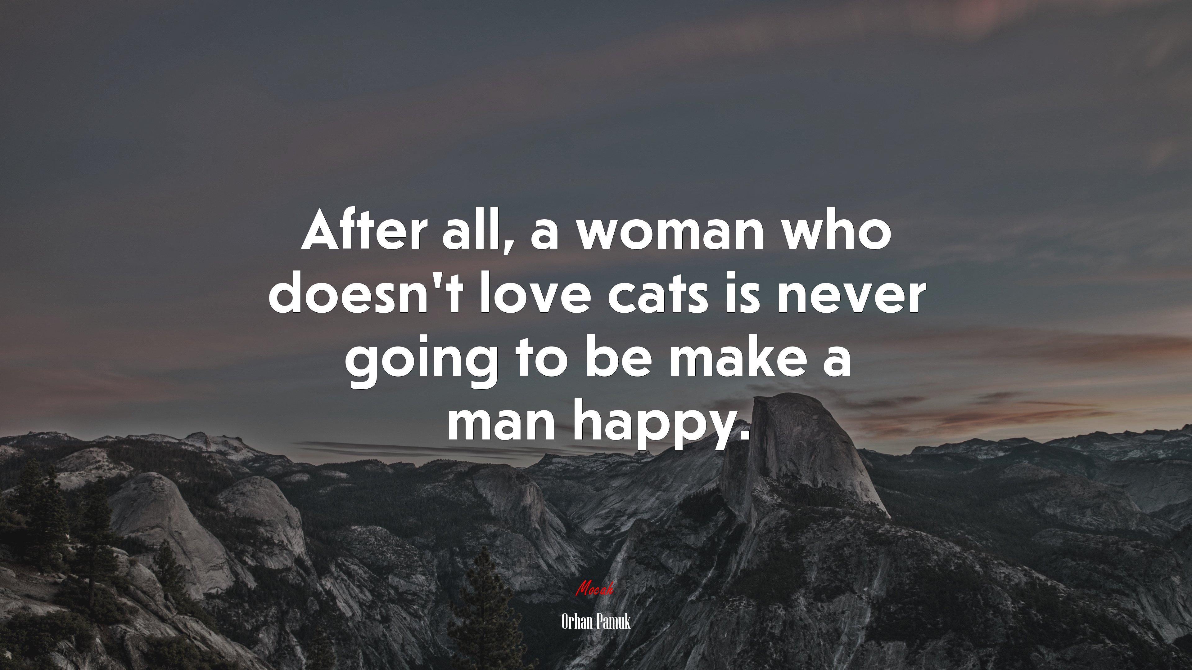 After all, a woman who doesn’t love cats is never going to be make a man happy. | Orhan Pamuk quote HD Wallpaper