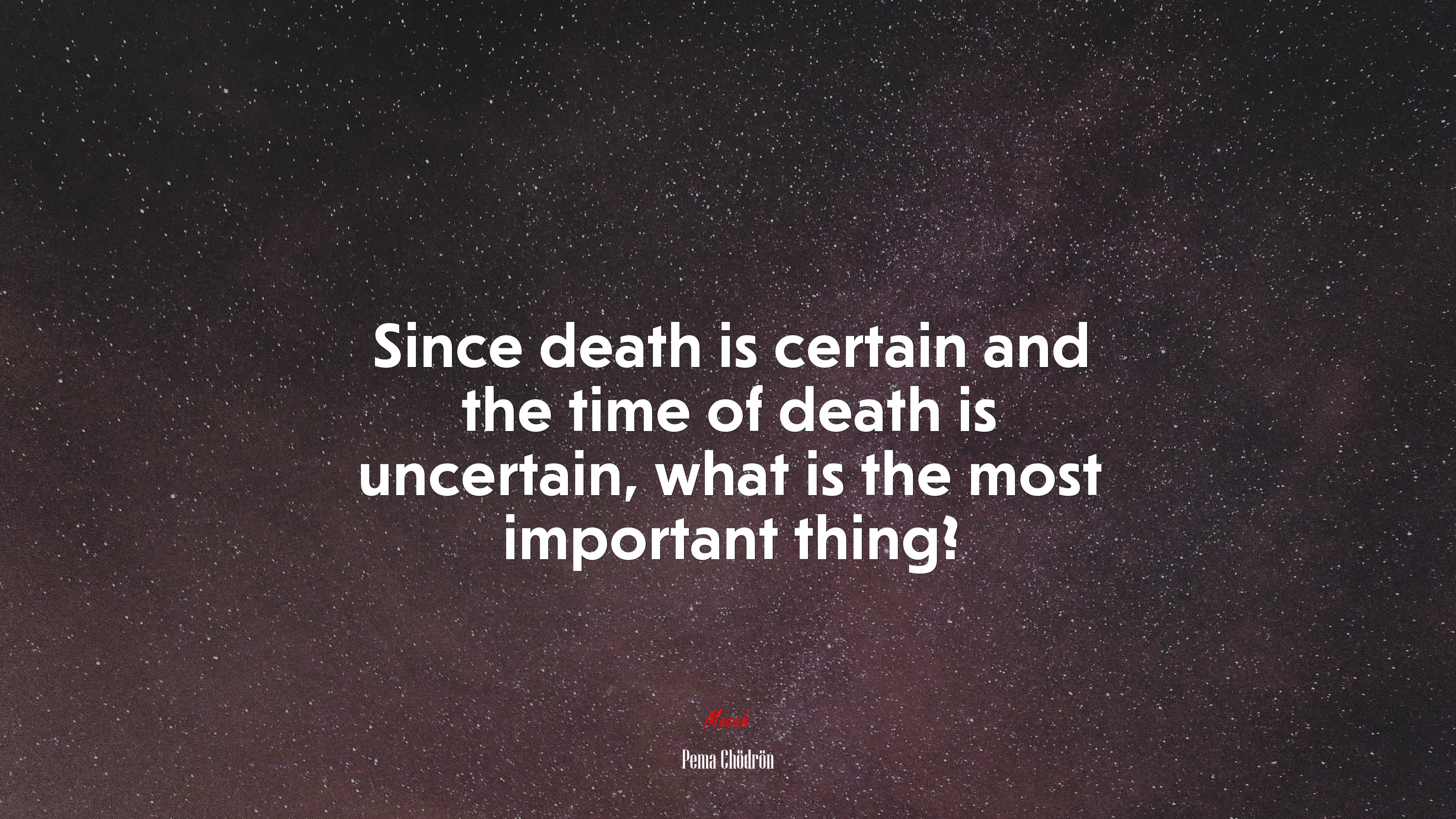 Since death is certain and the time of death is uncertain, what is the most important thing? | Pema Chödrön quote HD Wallpaper