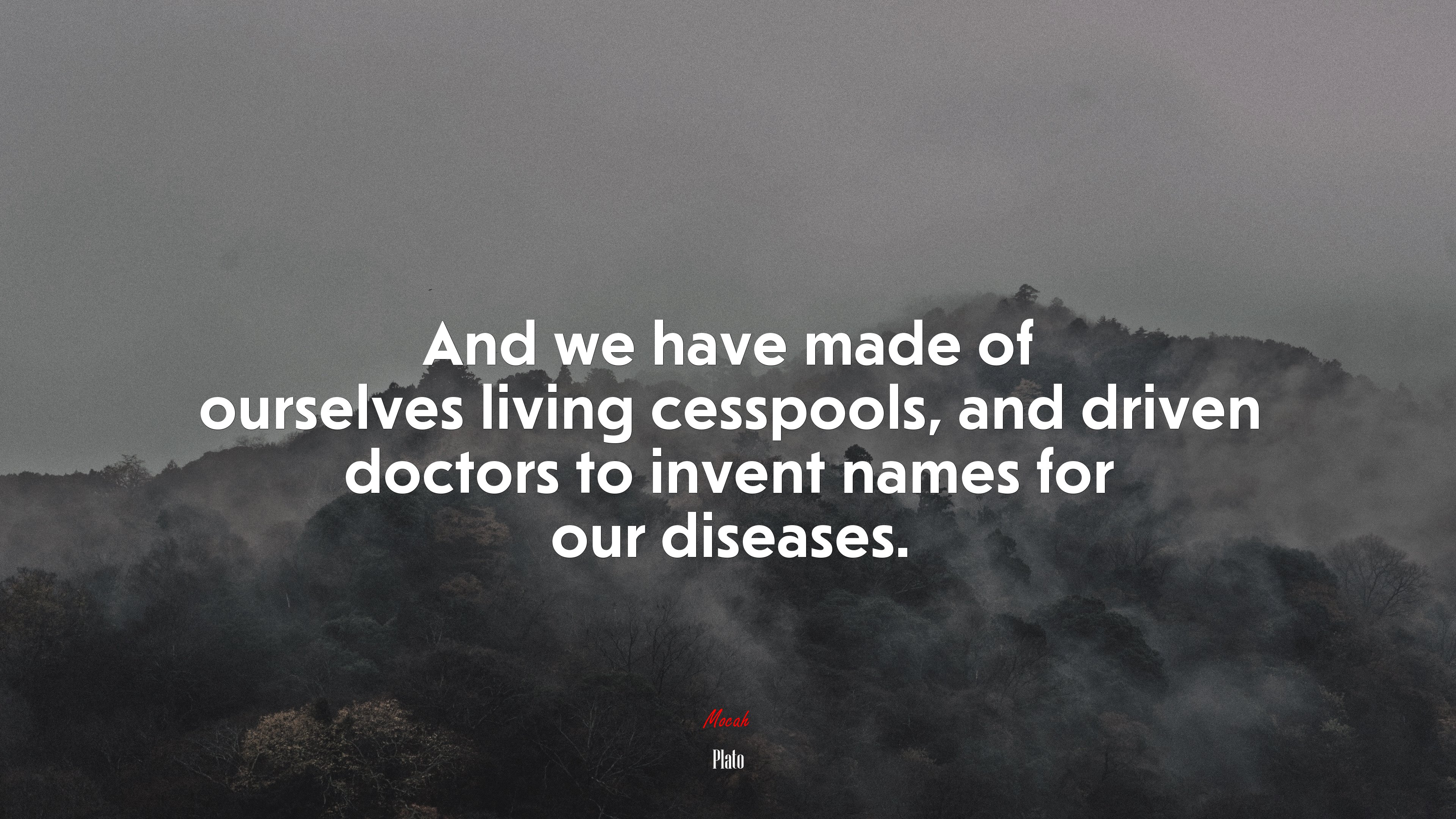 And we have made of ourselves living cesspools, and driven doctors to invent names for our diseases. | Plato quote HD Wallpaper