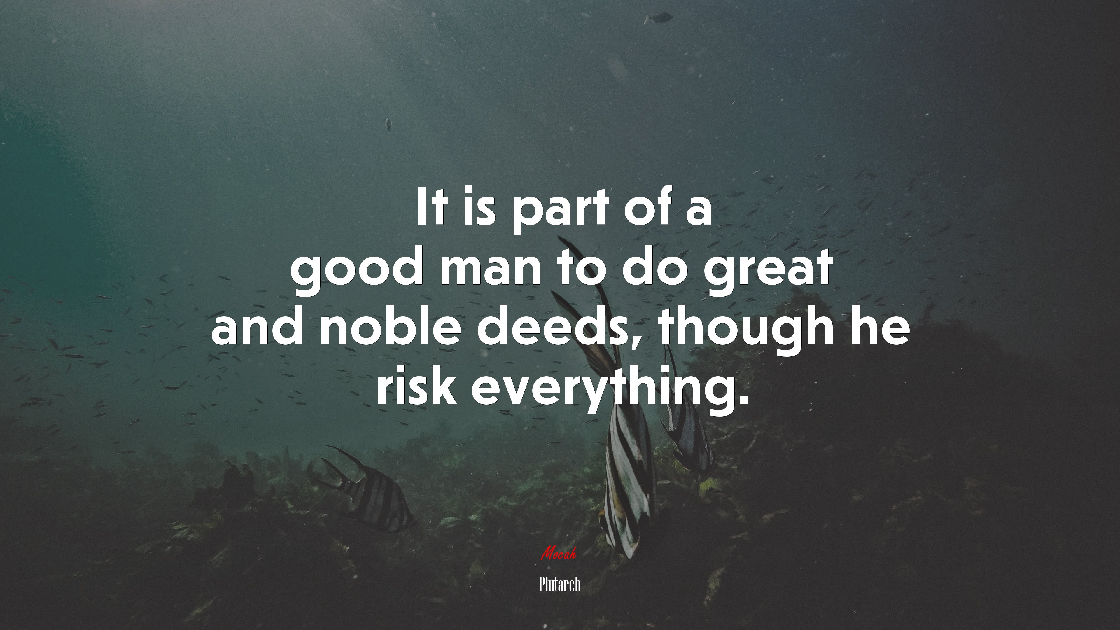 It is part of a good man to do great and noble deeds, though he risk everything. | Plutarch quote HD Wallpaper