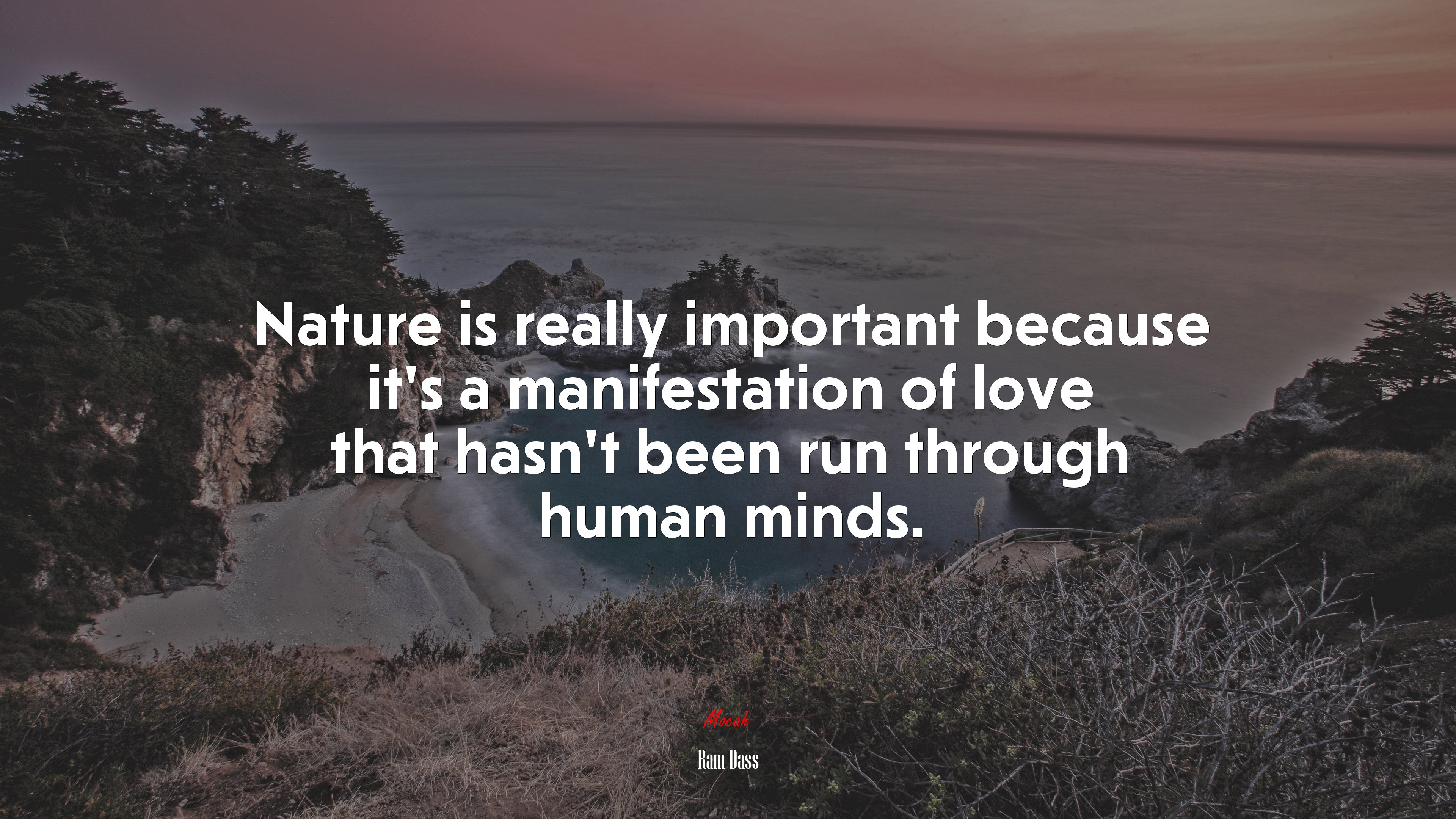 Nature is really important because it’s a manifestation of love that hasn’t been run through human minds. | Ram Dass quote HD Wallpaper