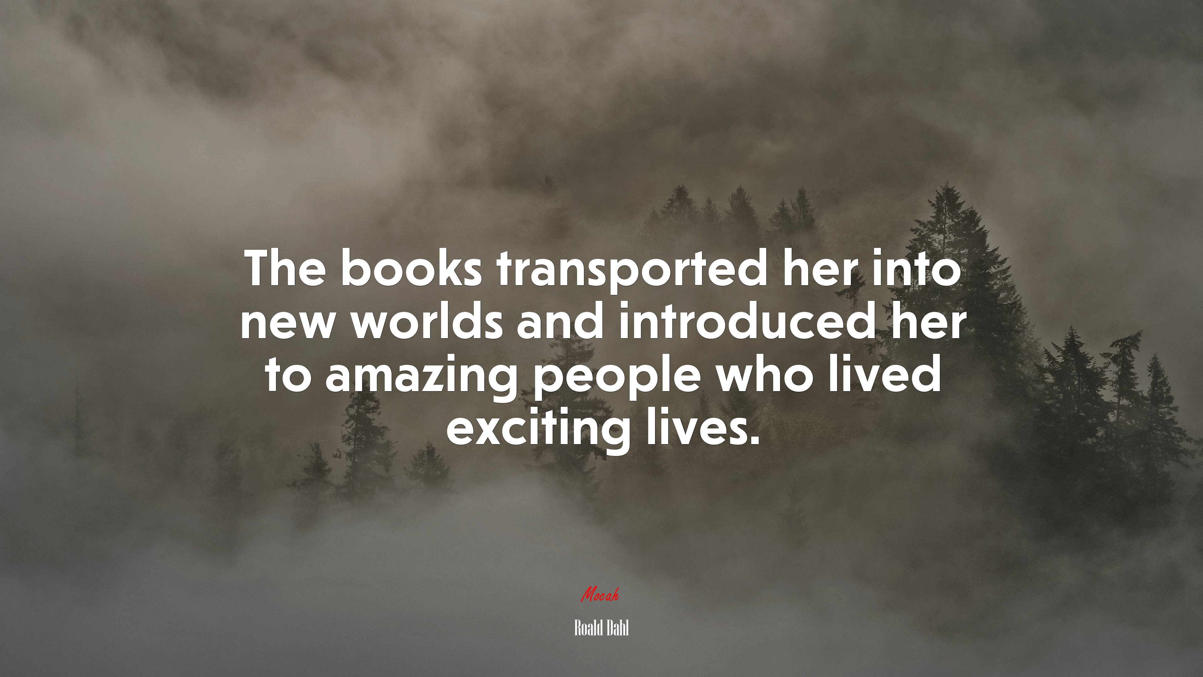 The books transported her into new worlds and introduced her to amazing people who lived exciting lives. | Roald Dahl quote HD Wallpaper