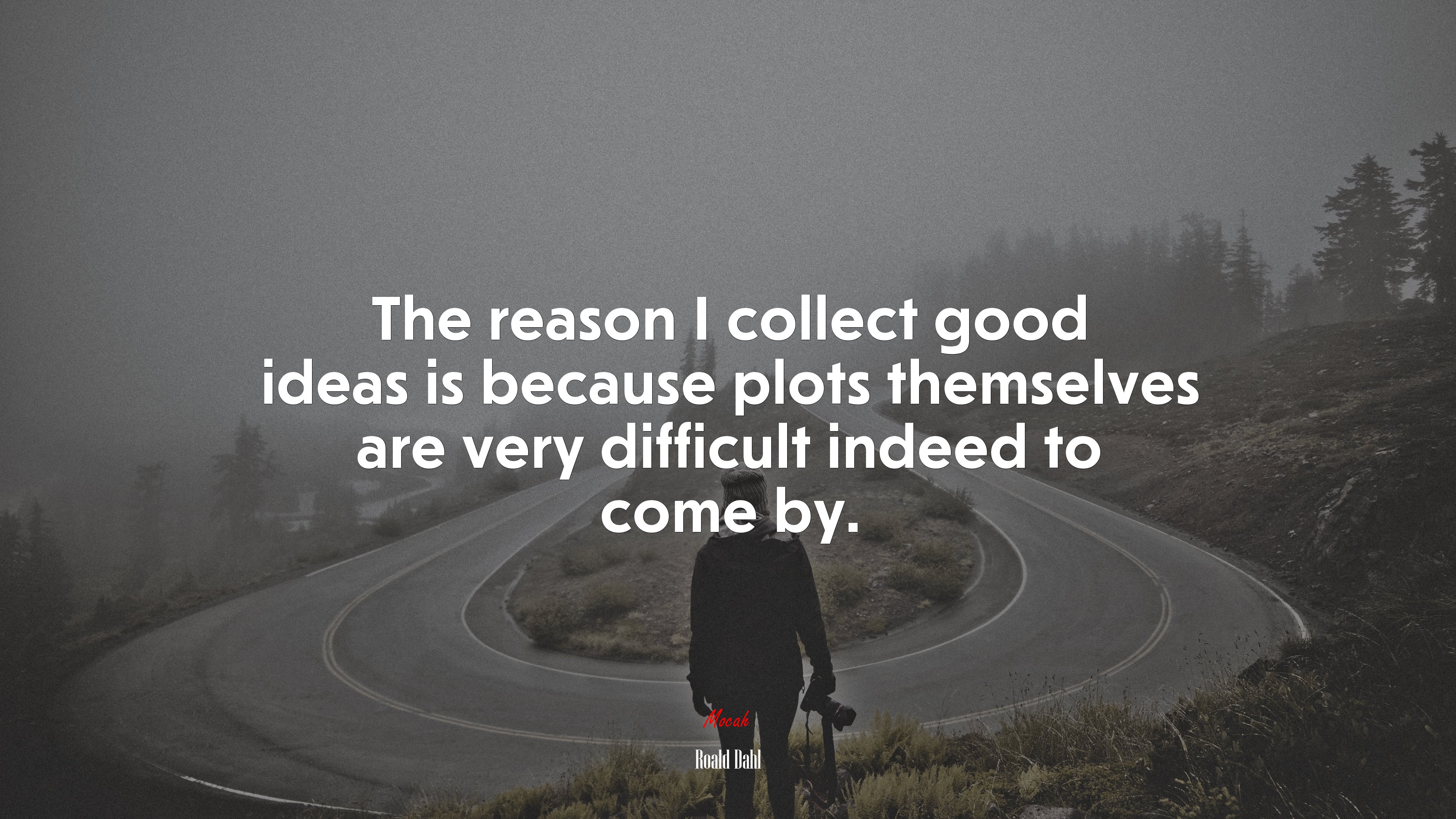 The reason I collect good ideas is because plots themselves are very difficult indeed to come by. | Roald Dahl quote HD Wallpaper