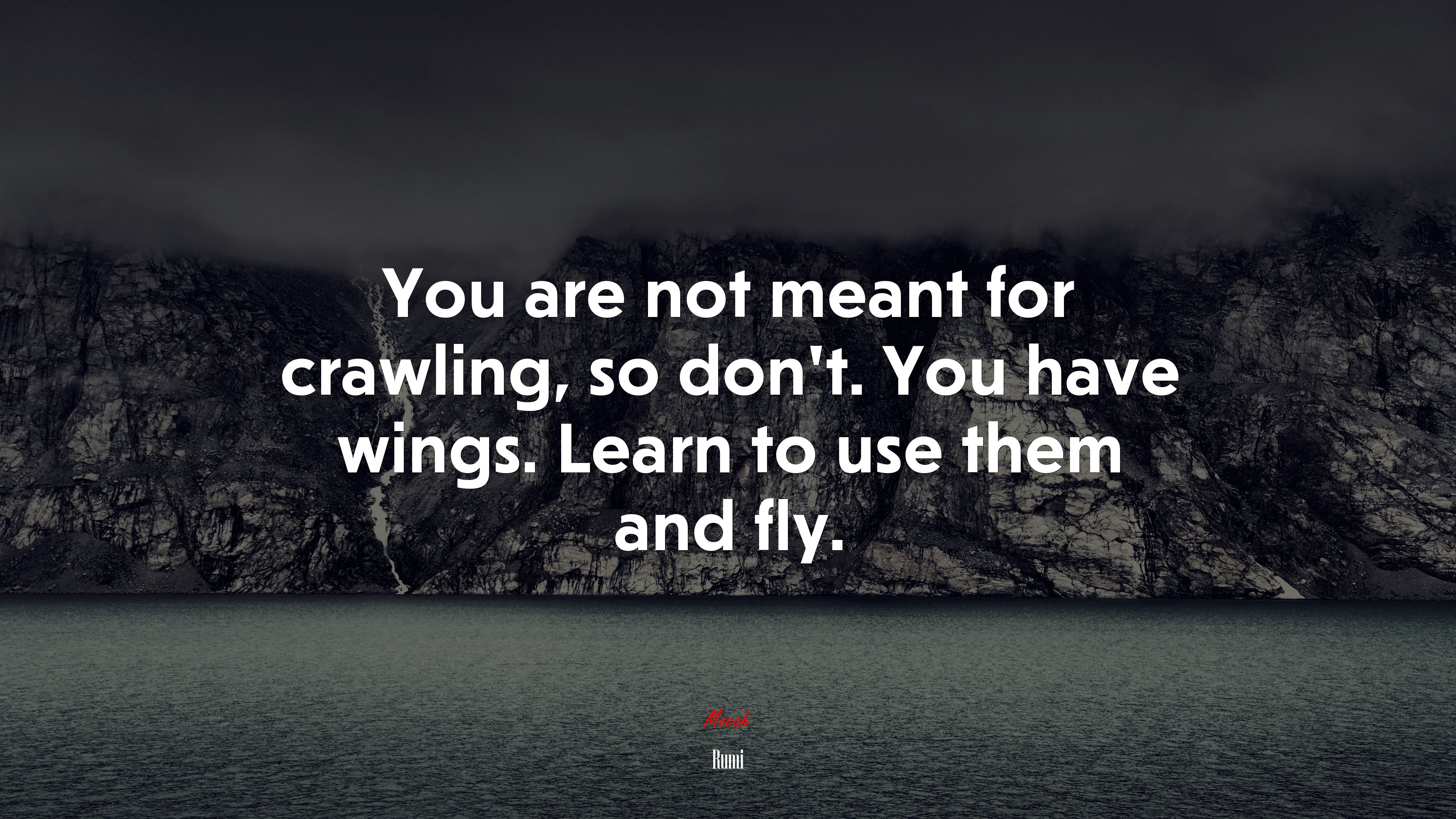 You are not meant for crawling, so don’t. You have wings. Learn to use them and fly. | Rumi quote HD Wallpaper