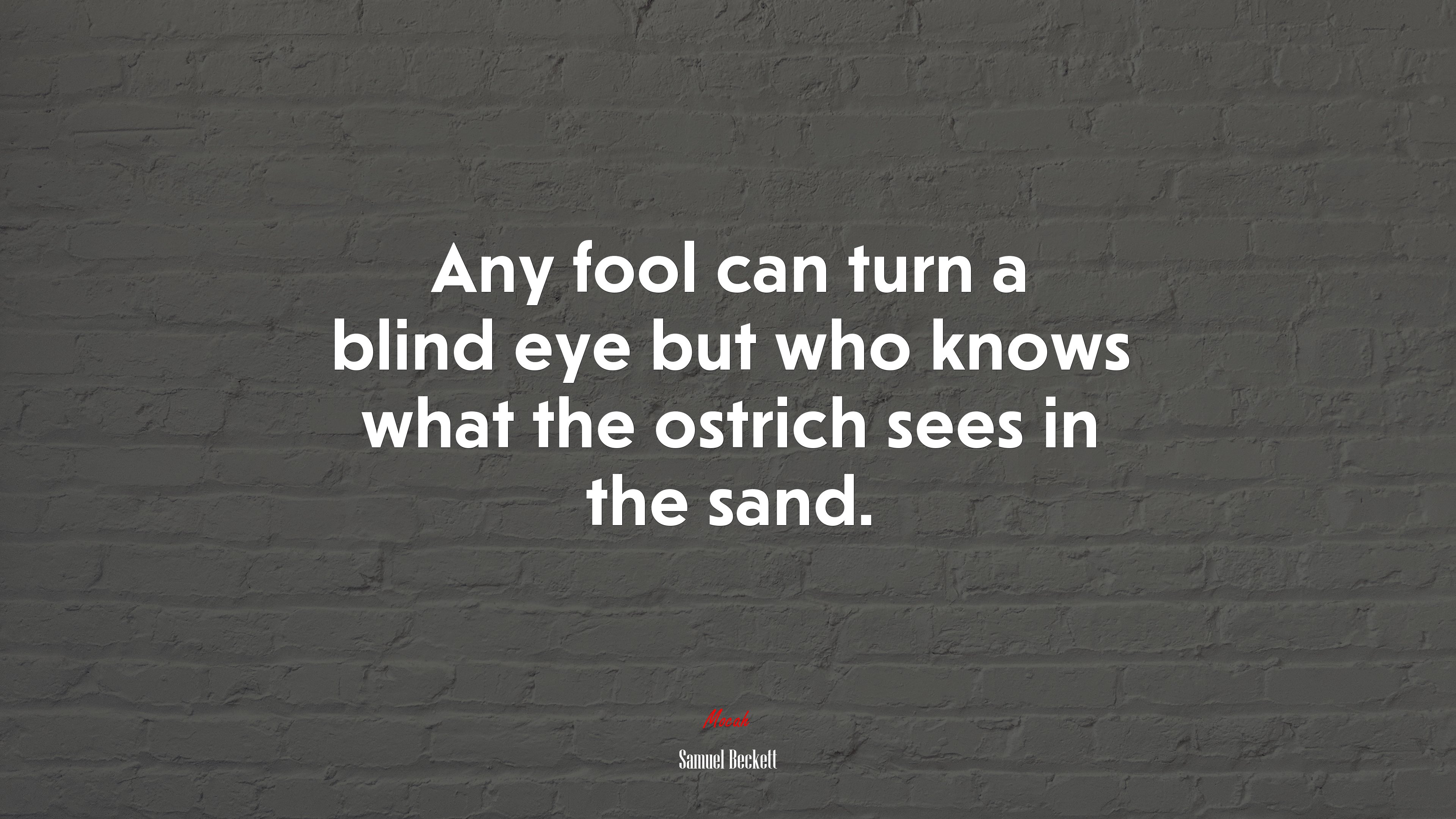 Any fool can turn a blind eye but who knows what the ostrich sees in the sand. | Samuel Beckett quote HD Wallpaper