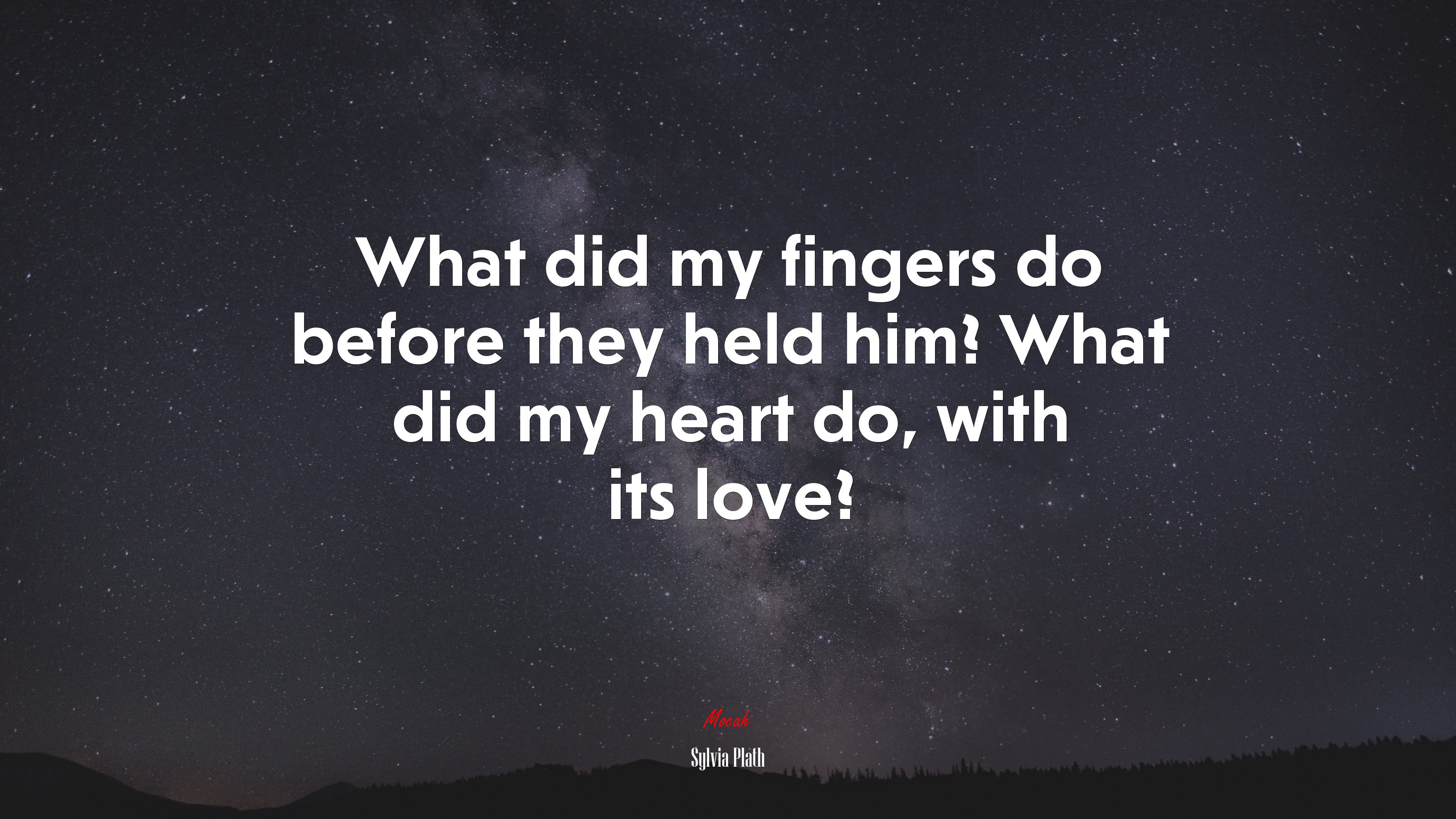 What did my fingers do before they held him? What did my heart do, with its love? | Sylvia Plath quote HD Wallpaper