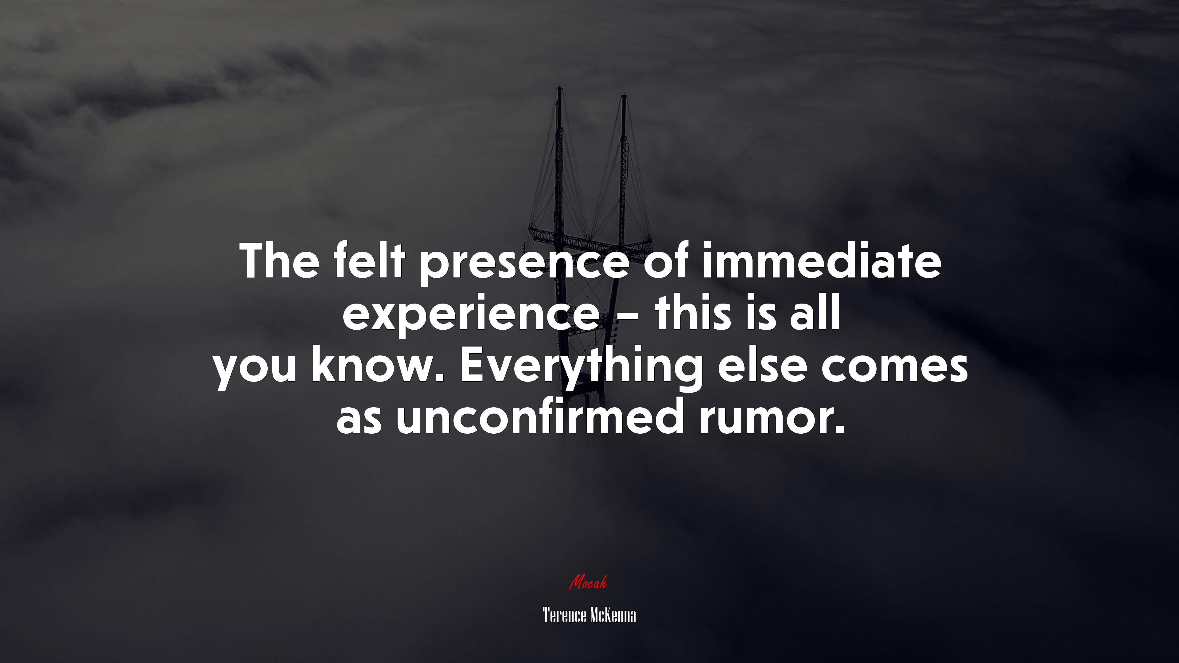 The felt presence of immediate experience – this is all you know. Everything else comes as unconfirmed rumor. | Terence McKenna quote HD Wallpaper