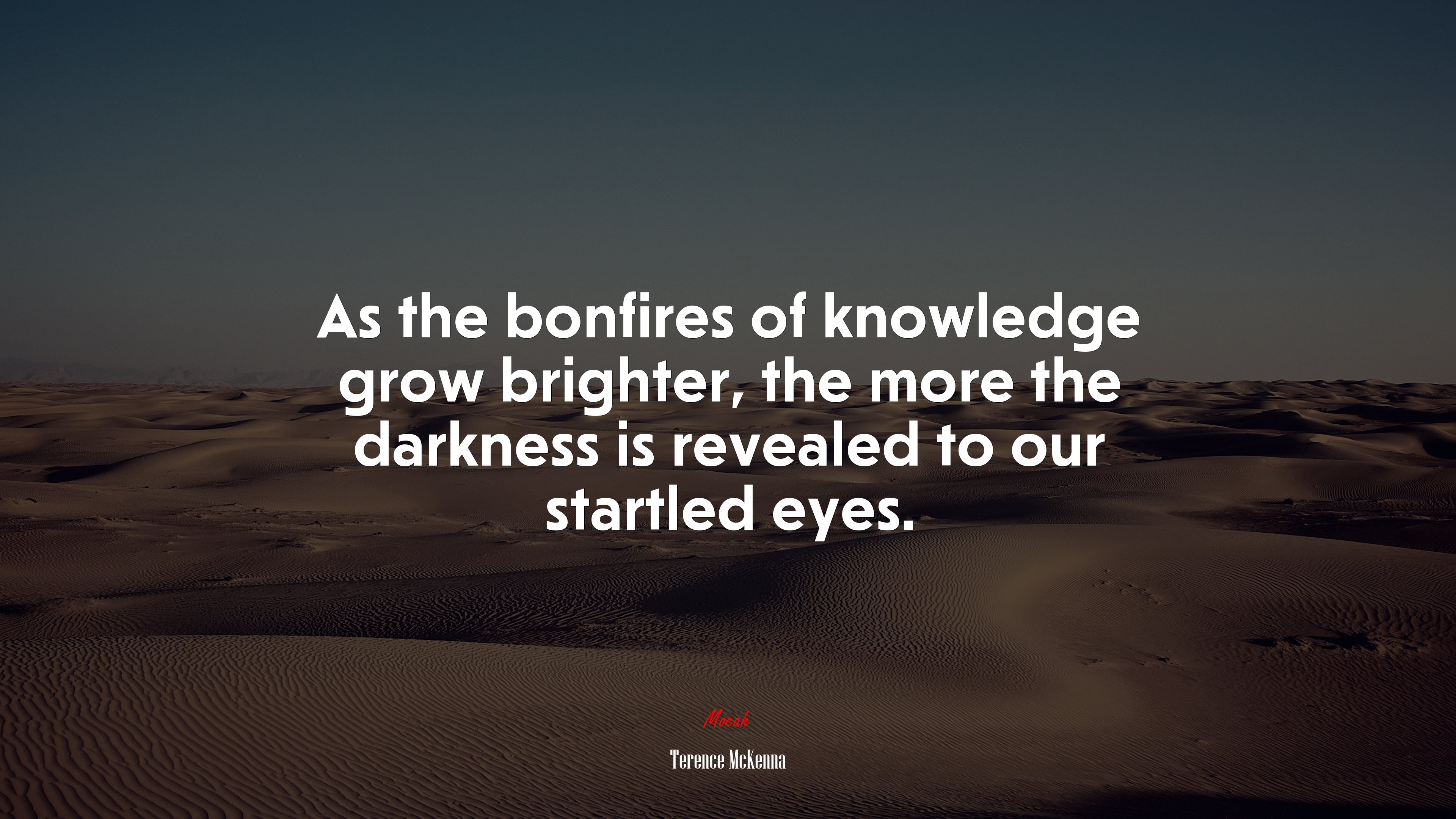 As the bonfires of knowledge grow brighter, the more the darkness is revealed to our startled eyes. | Terence McKenna quote HD Wallpaper