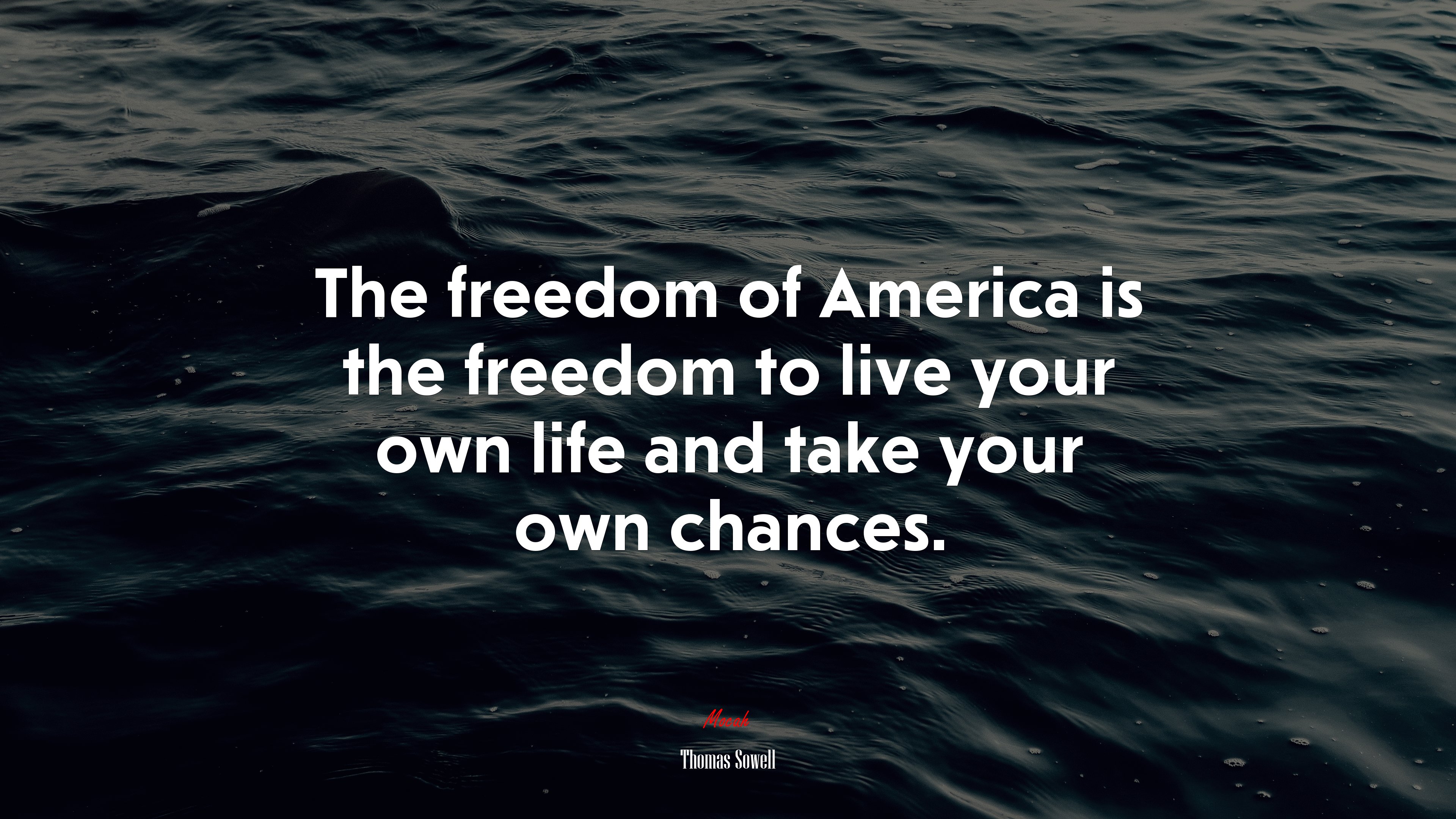 The freedom of America is the freedom to live your own life and take your own chances. | Thomas Sowell quote HD Wallpaper