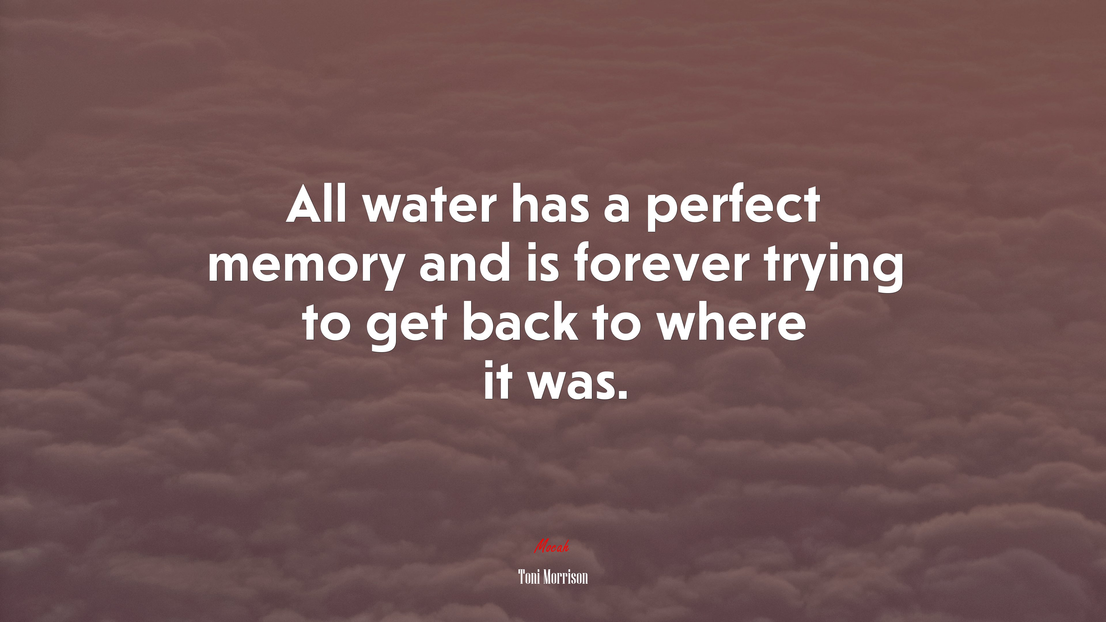 All water has a perfect memory and is forever trying to get back to where it was. | Toni Morrison quote HD Wallpaper
