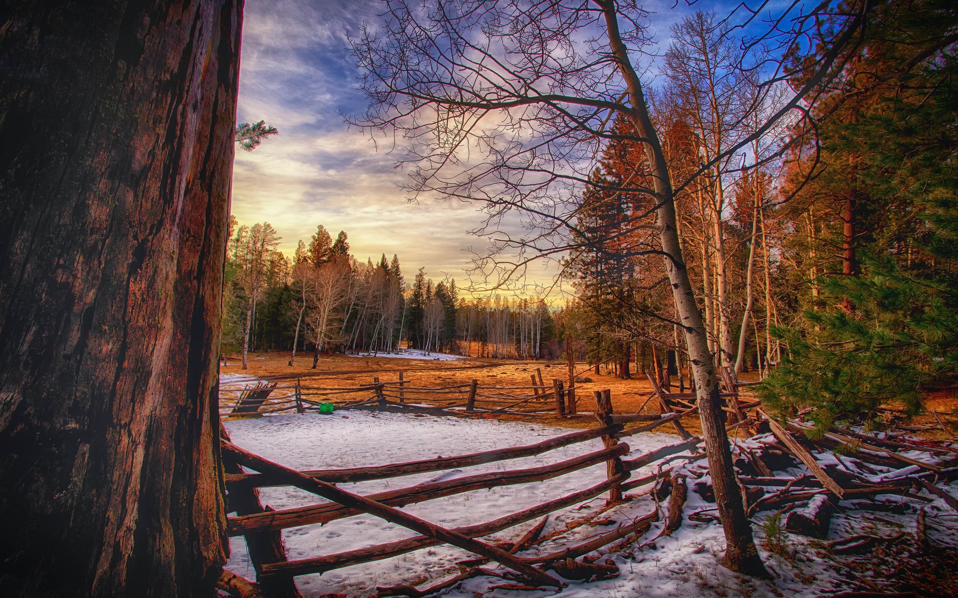 Winter landscape with wooden fence and trees HD Wallpaper