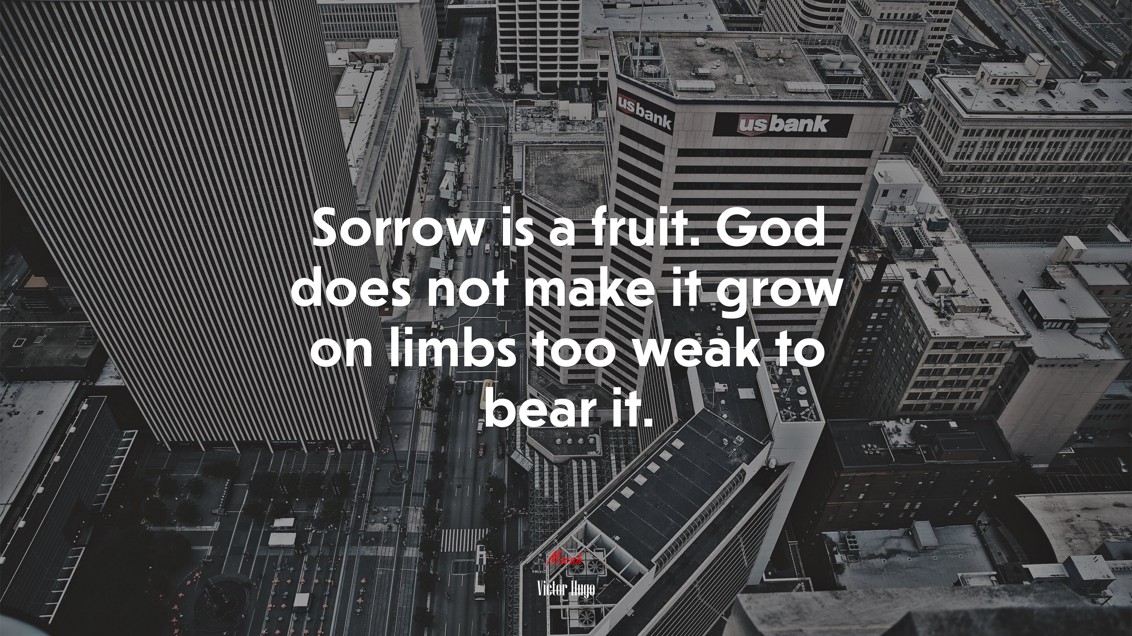 Sorrow is a fruit. God does not make it grow on limbs too weak to bear it. | Victor Hugo quote HD Wallpaper